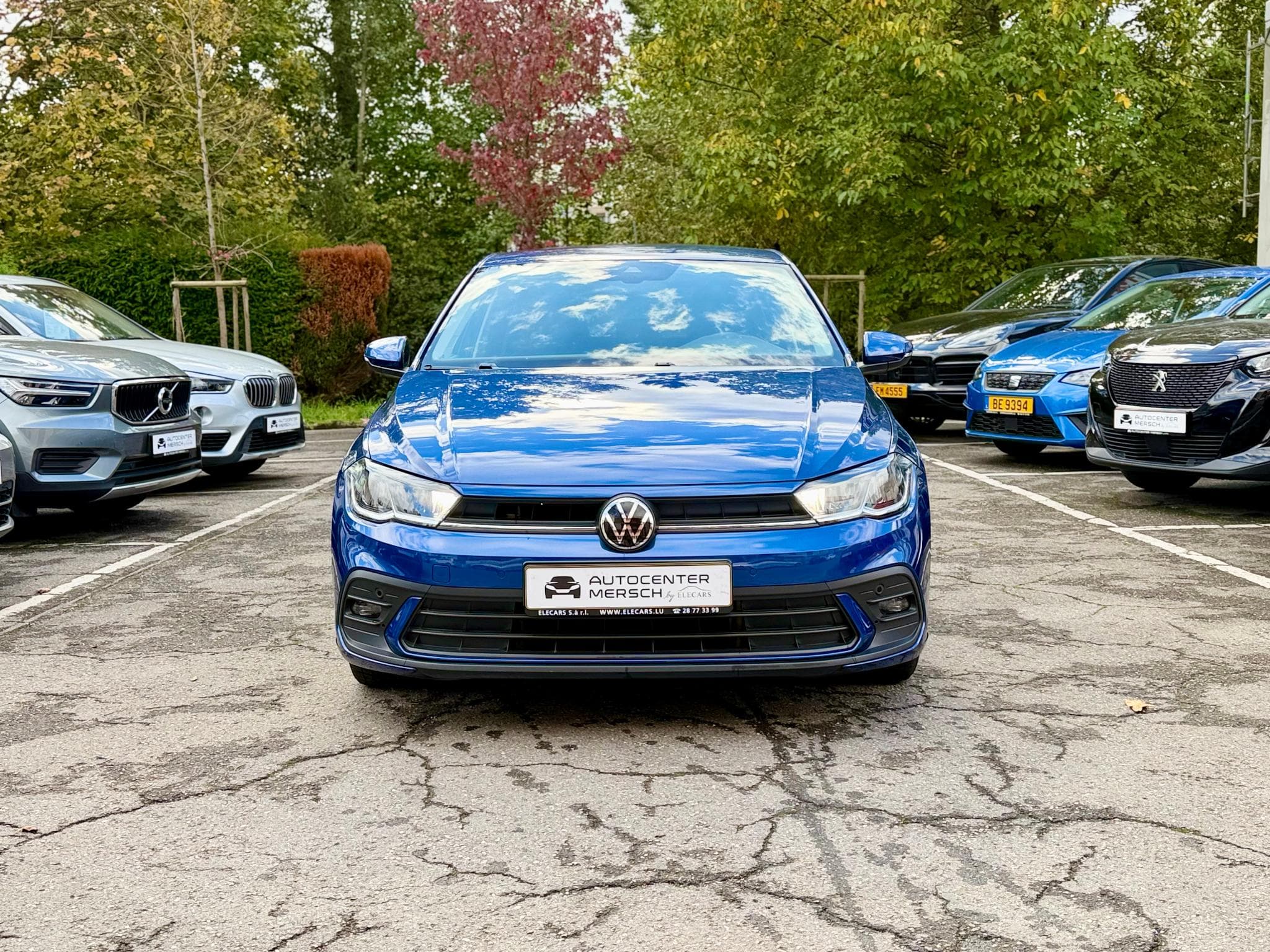 VW Polo 1.0 TSI 95 DSG Life (2022) - Foto 2