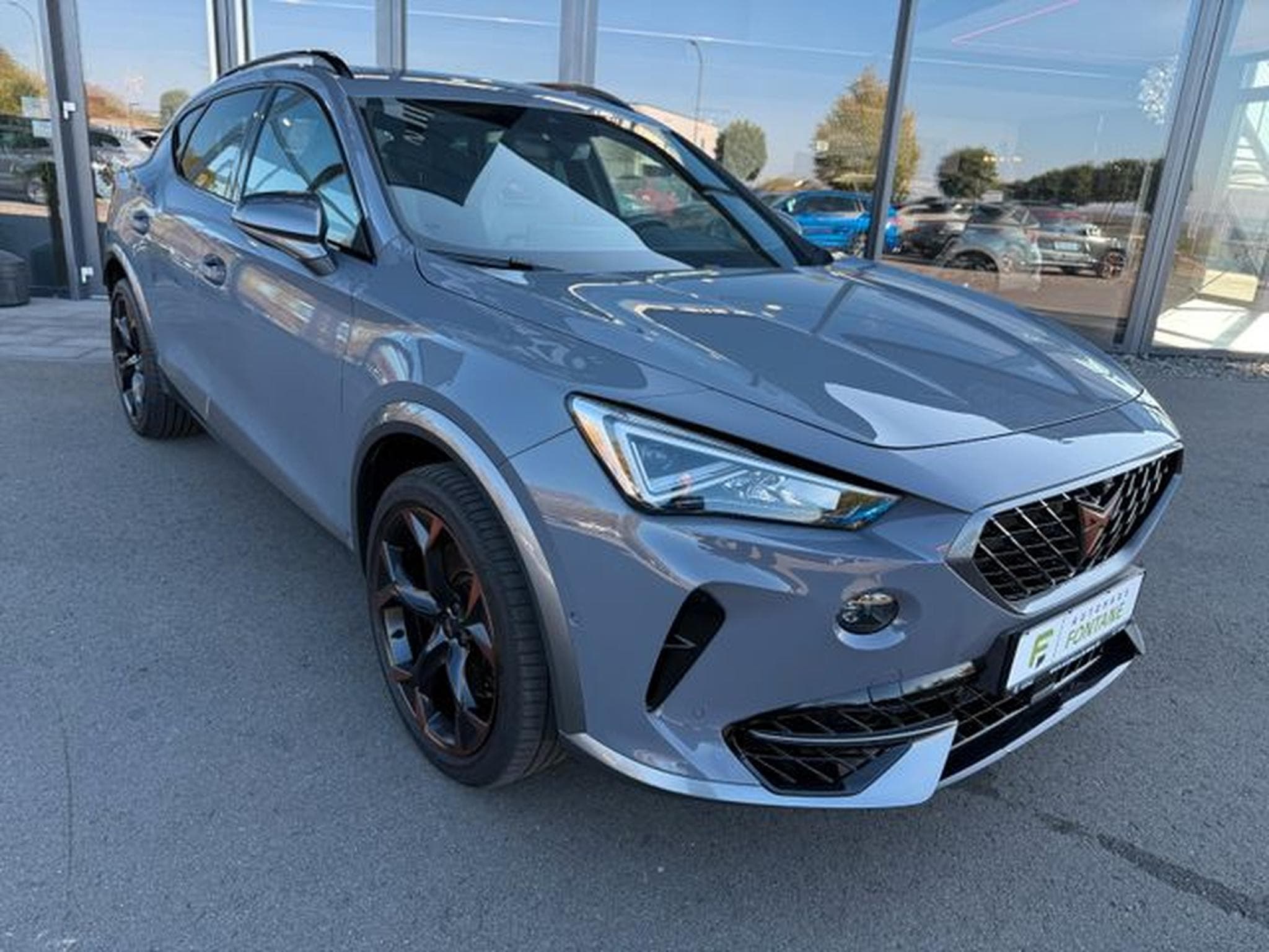 Cupra Formentor Formentor 2,0TSi VZ 4Drive AHK Beats Leder Pano (2021) - Foto 3