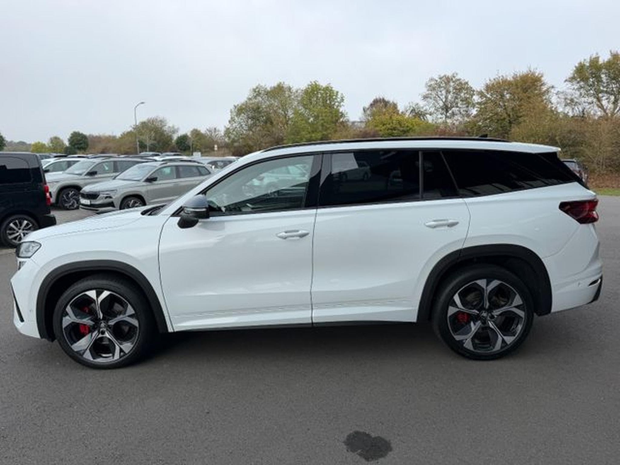 Skoda Kodiaq Kodiaq 2.0TSI 4x4 RS AHK Pano Standhz Canton 360 (2025) - Foto 10