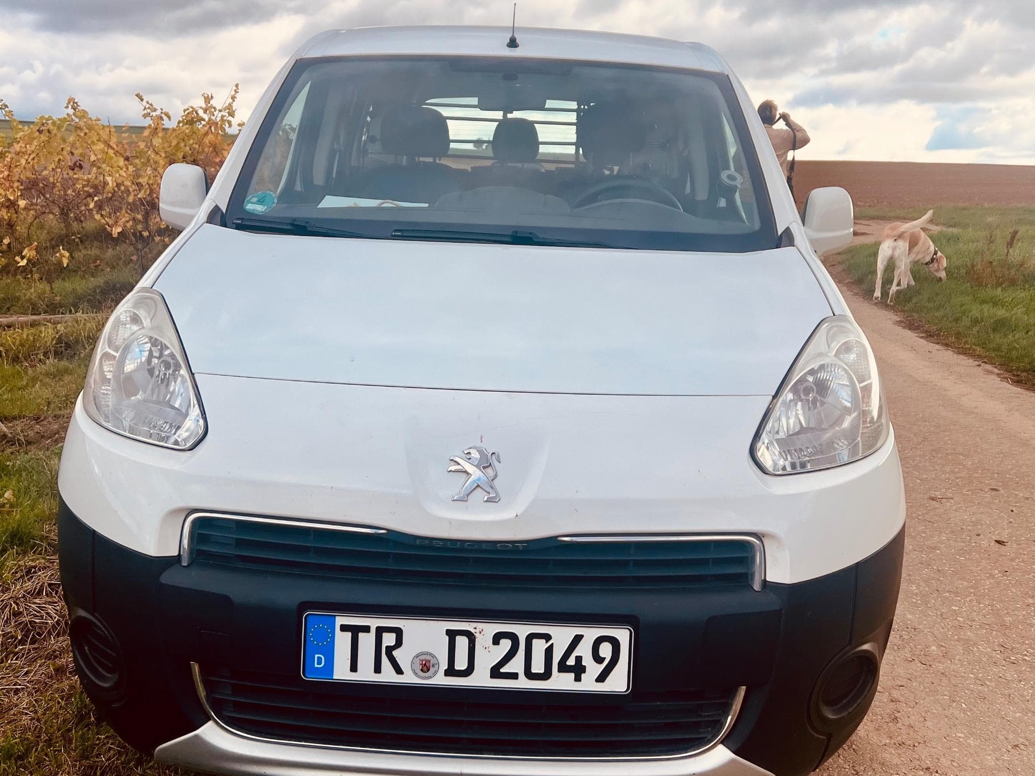 Peugeot Partner Tepee (2013) - Photo 1