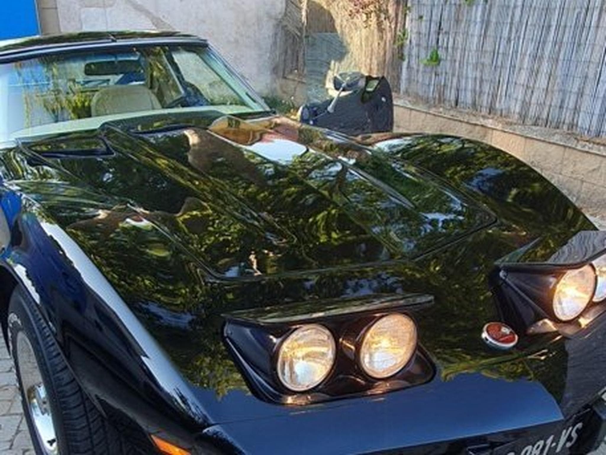 Chevrolet Corvette C3 Stingray (1976) - Photo 11