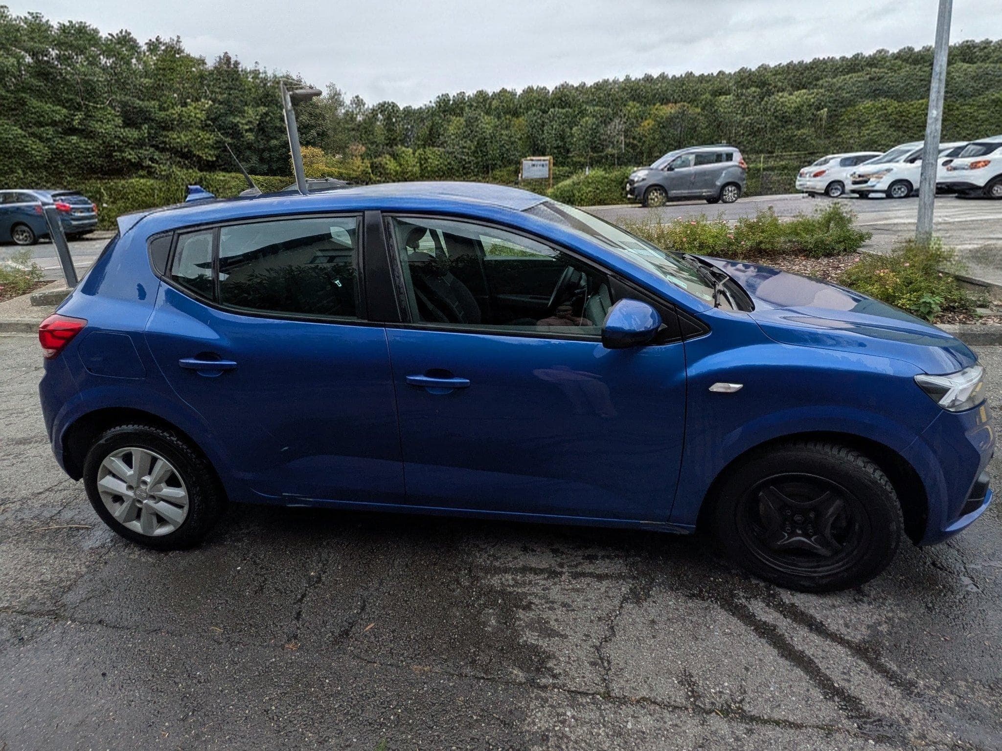 Dacia Sandero Expression Sce 65 bleu IRON (2023) - Photo 6