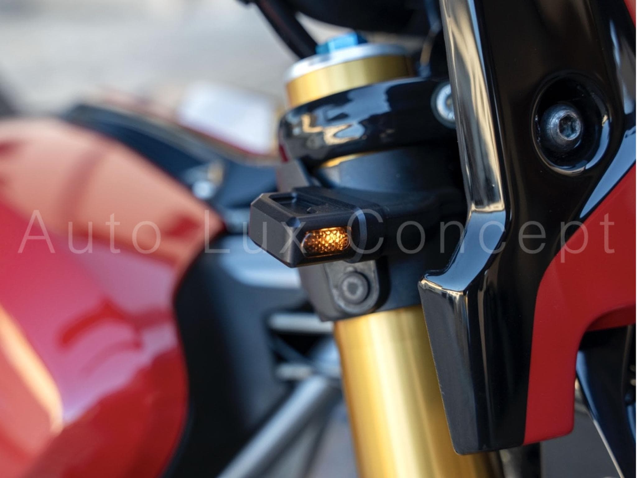Indian FTR Sport Personnalisée (2024) - Photo 12