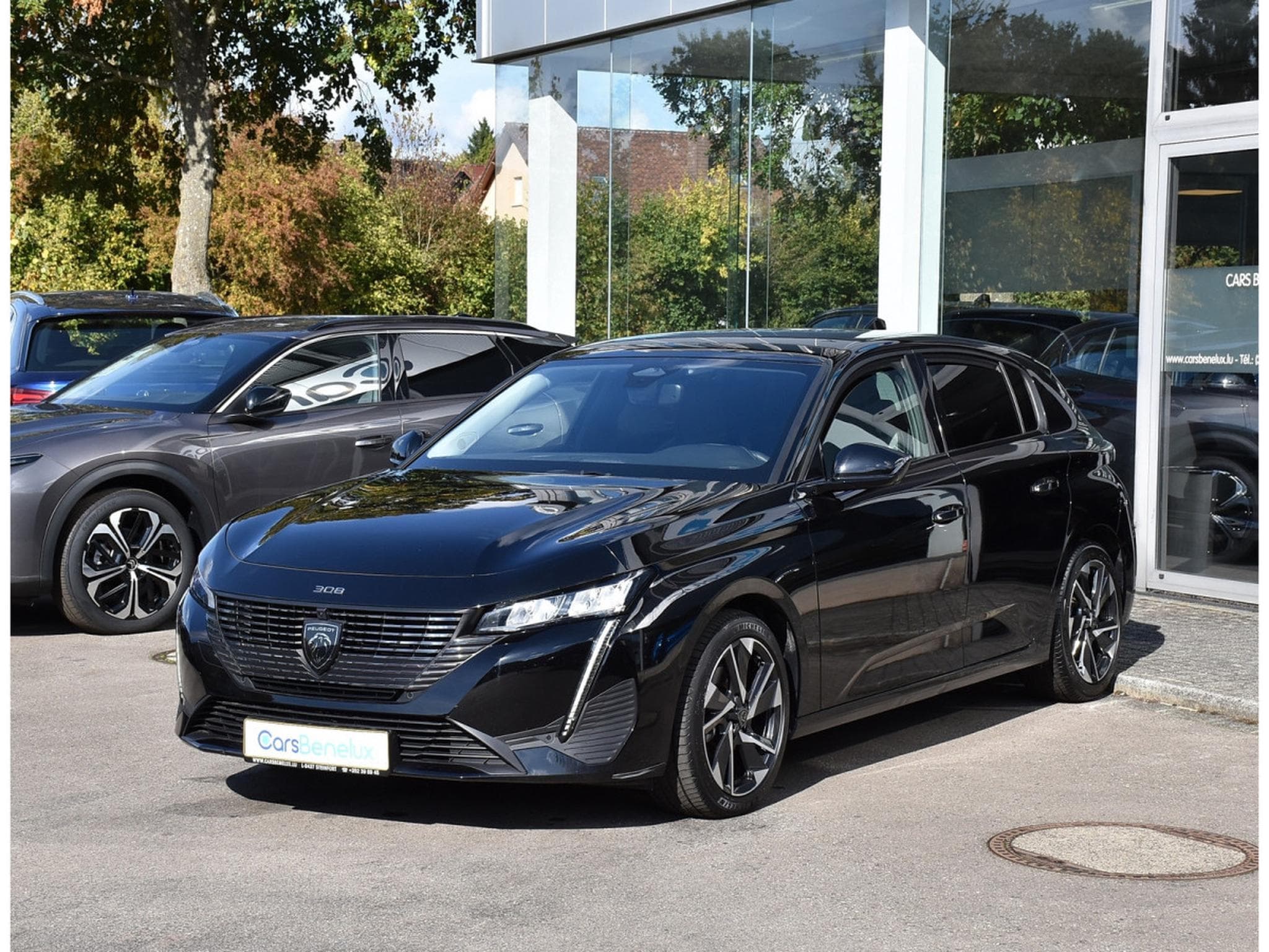 Peugeot 308 1.2 Hybrid 145 e-DCS6 Allure ACC CAM360 LANE 1° MAIN (2025) - Photo 2