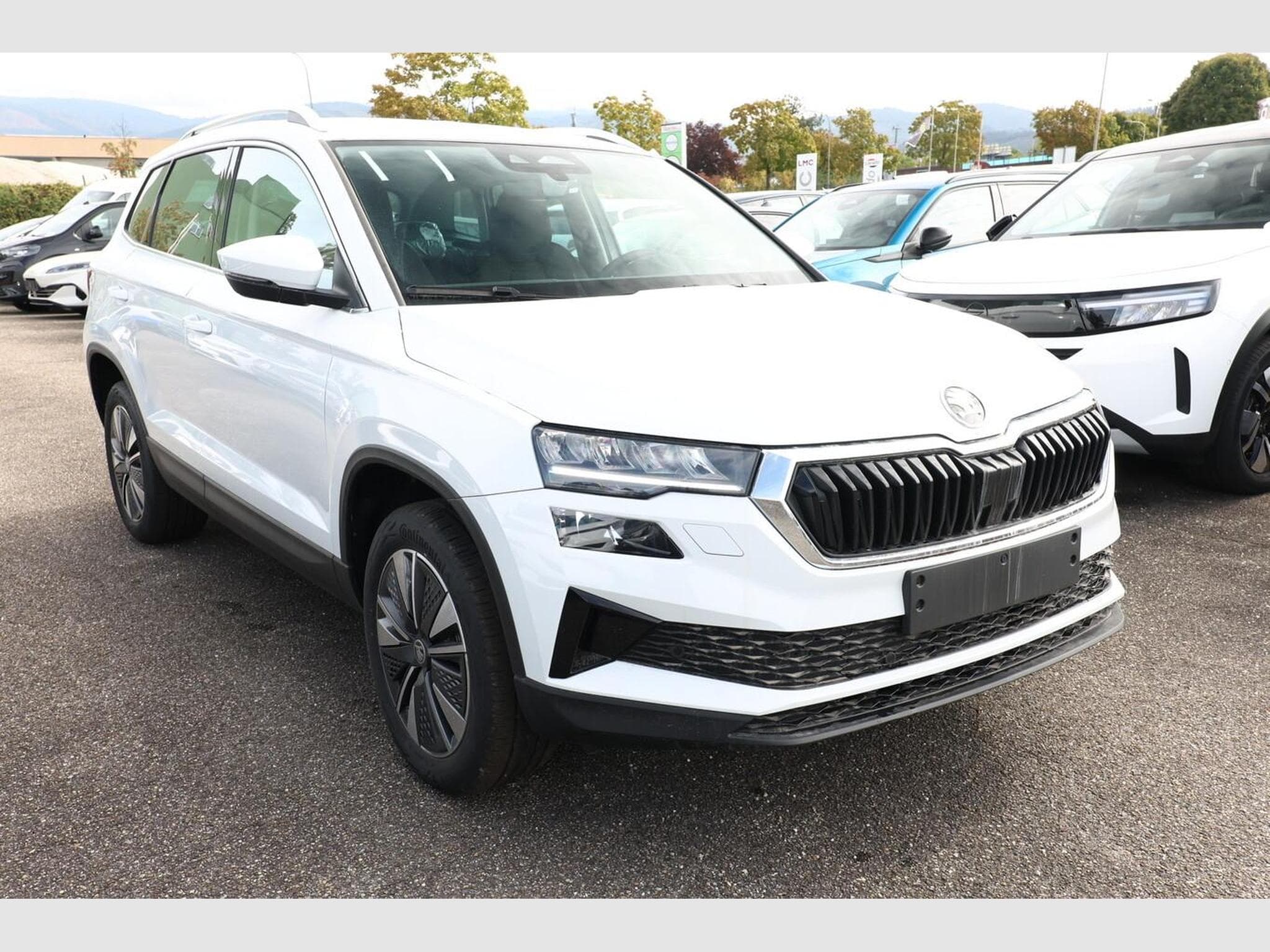 Skoda Karoq Selection (2026) - Photo 2