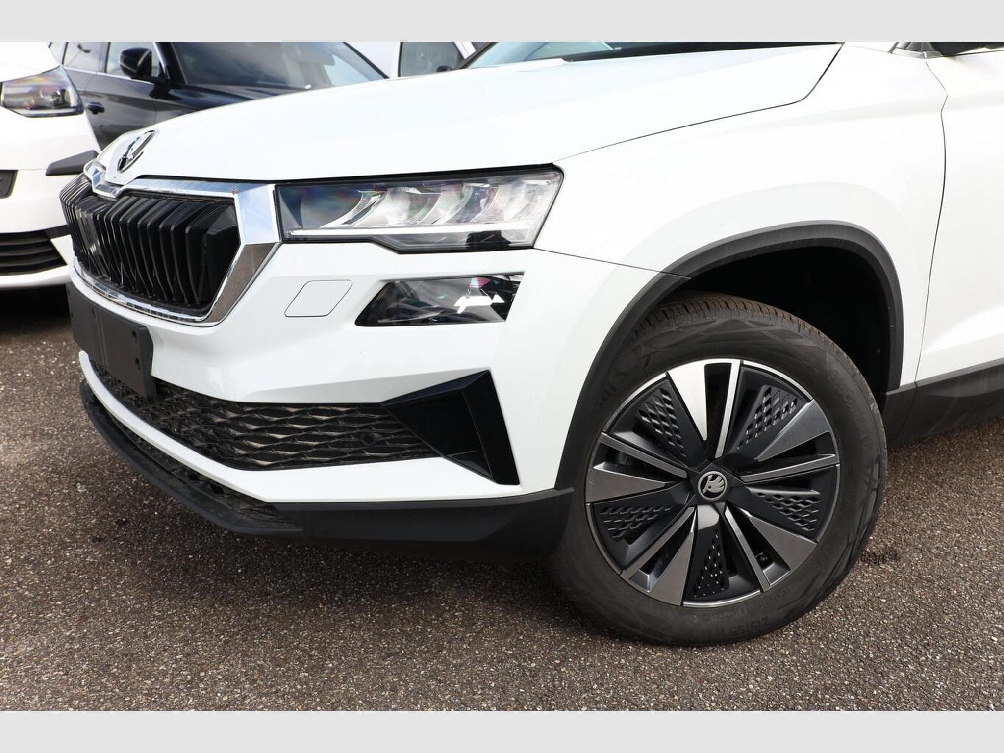 Skoda Karoq Selection (2026) - Photo 5