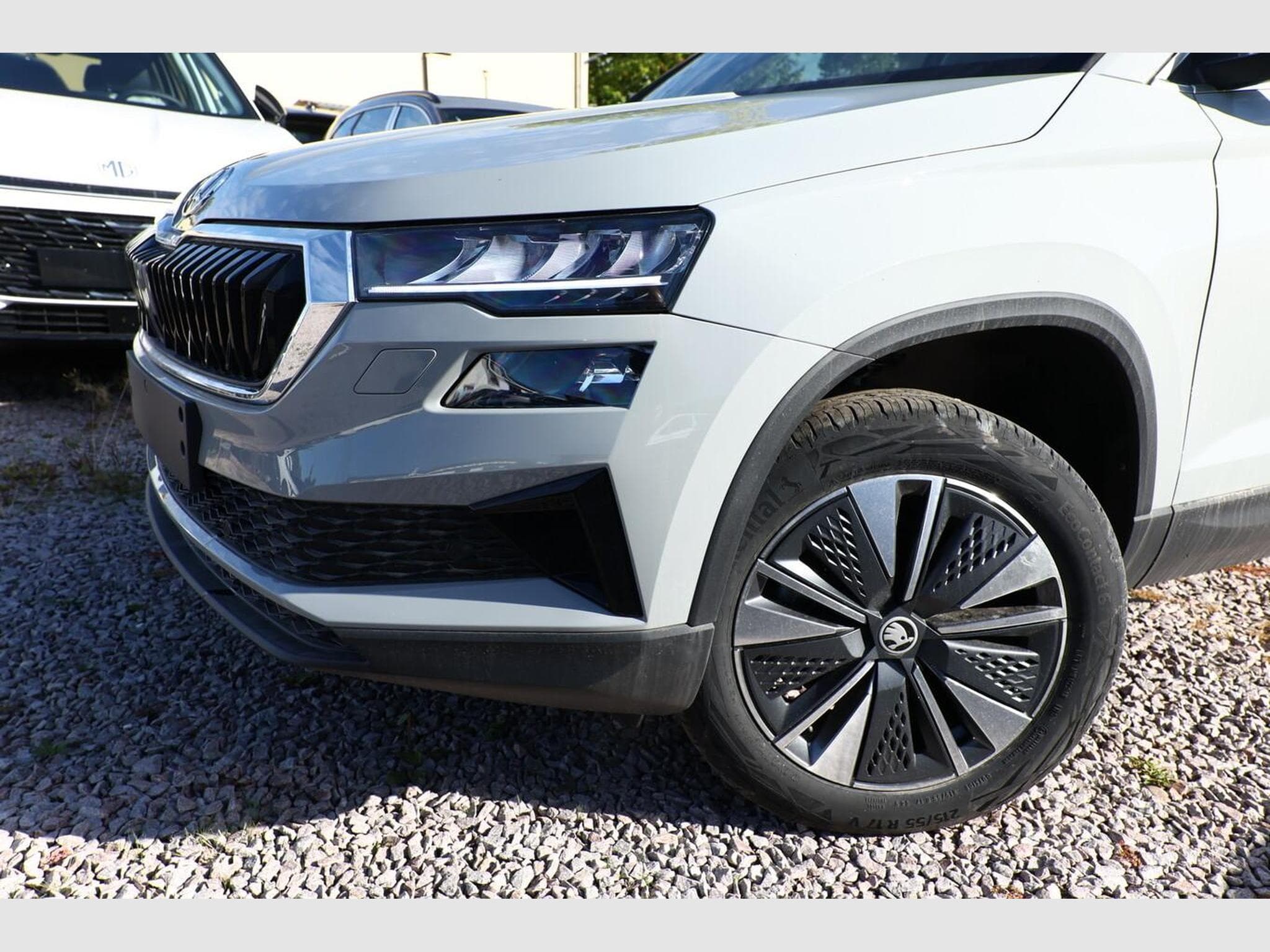 Skoda Karoq Selection (2026) - Photo 5