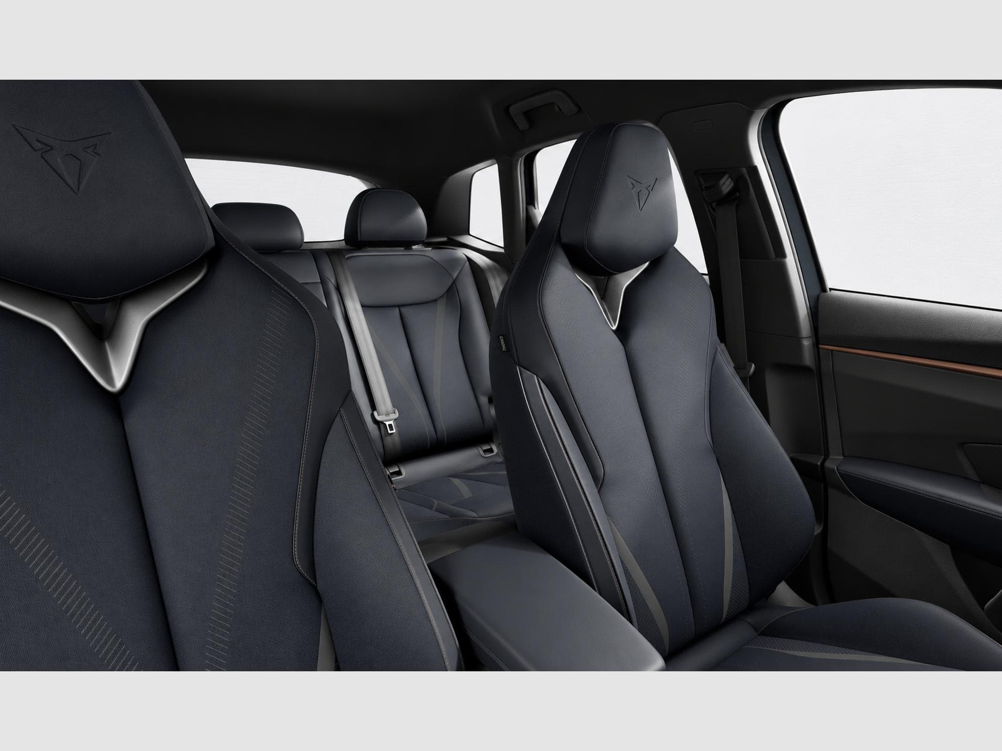 Cupra Terramar VZ 2.0 TSI 265 DSG7 4drive (2026) - Photo 5