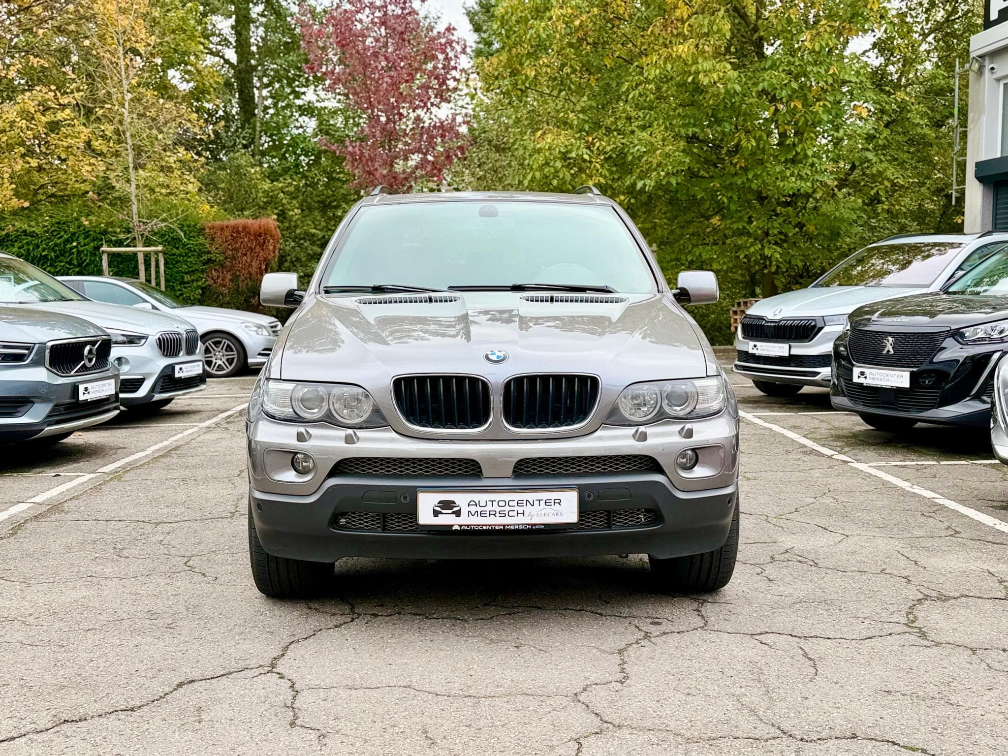 BMW X5 3.0d xDrive 218 Aut. (2004) - Photo 2
