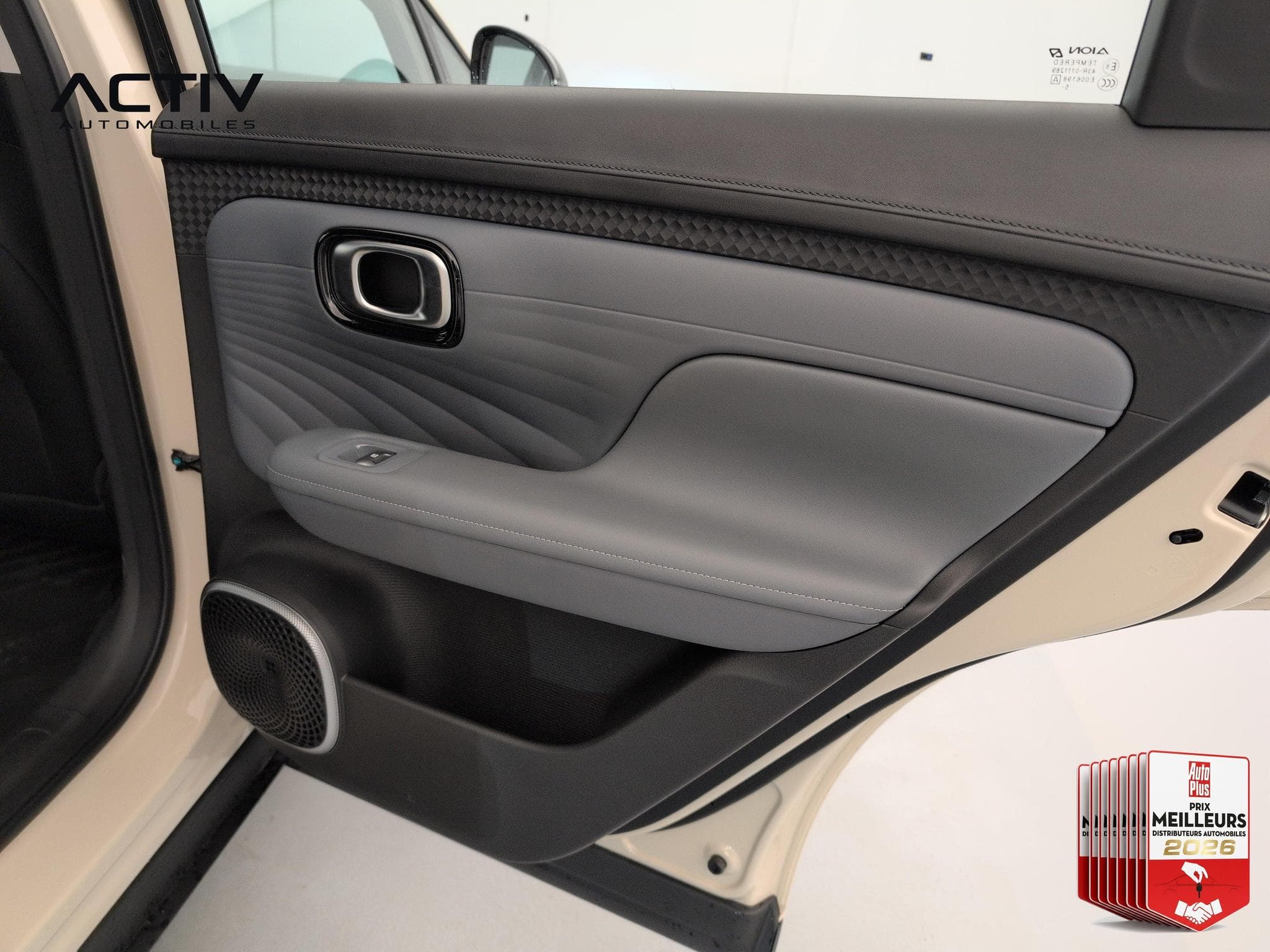 Aion UT LUXURY (2026) - Foto 11
