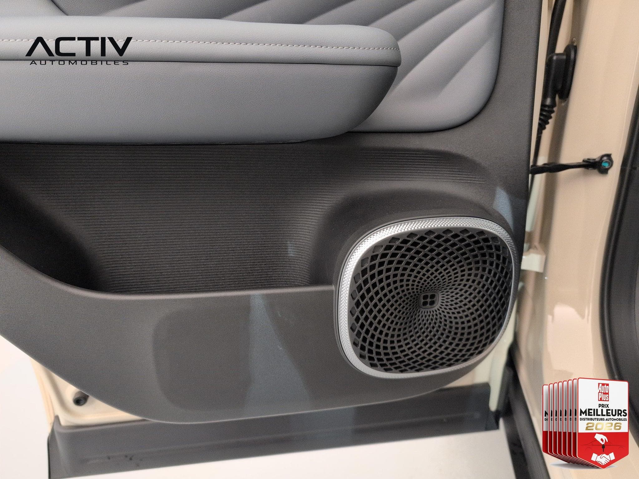 Aion UT LUXURY (2026) - Foto 17