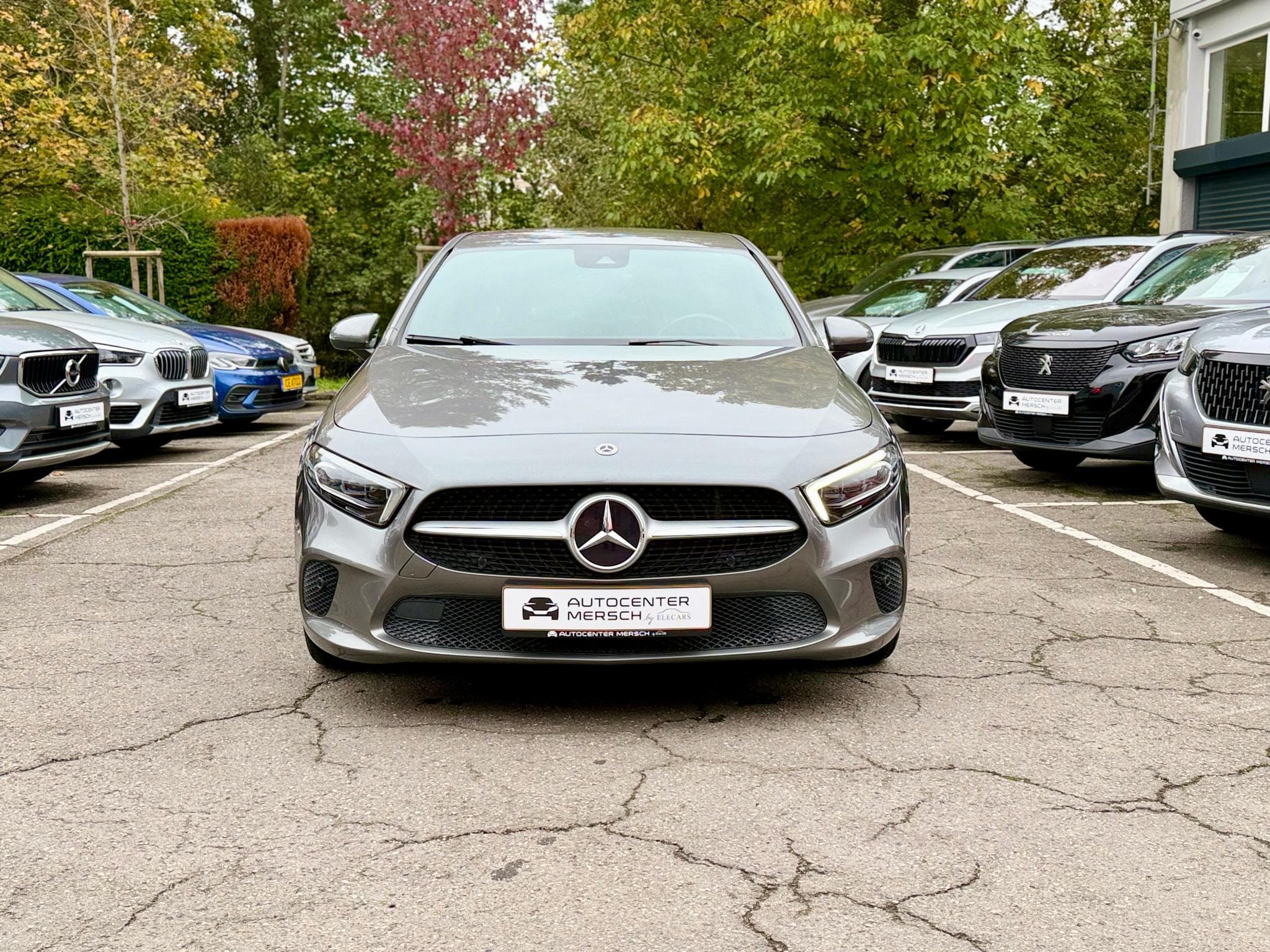 Mercedes A 220 4Matic 7G-DCT Progressive (2019) - Foto 2