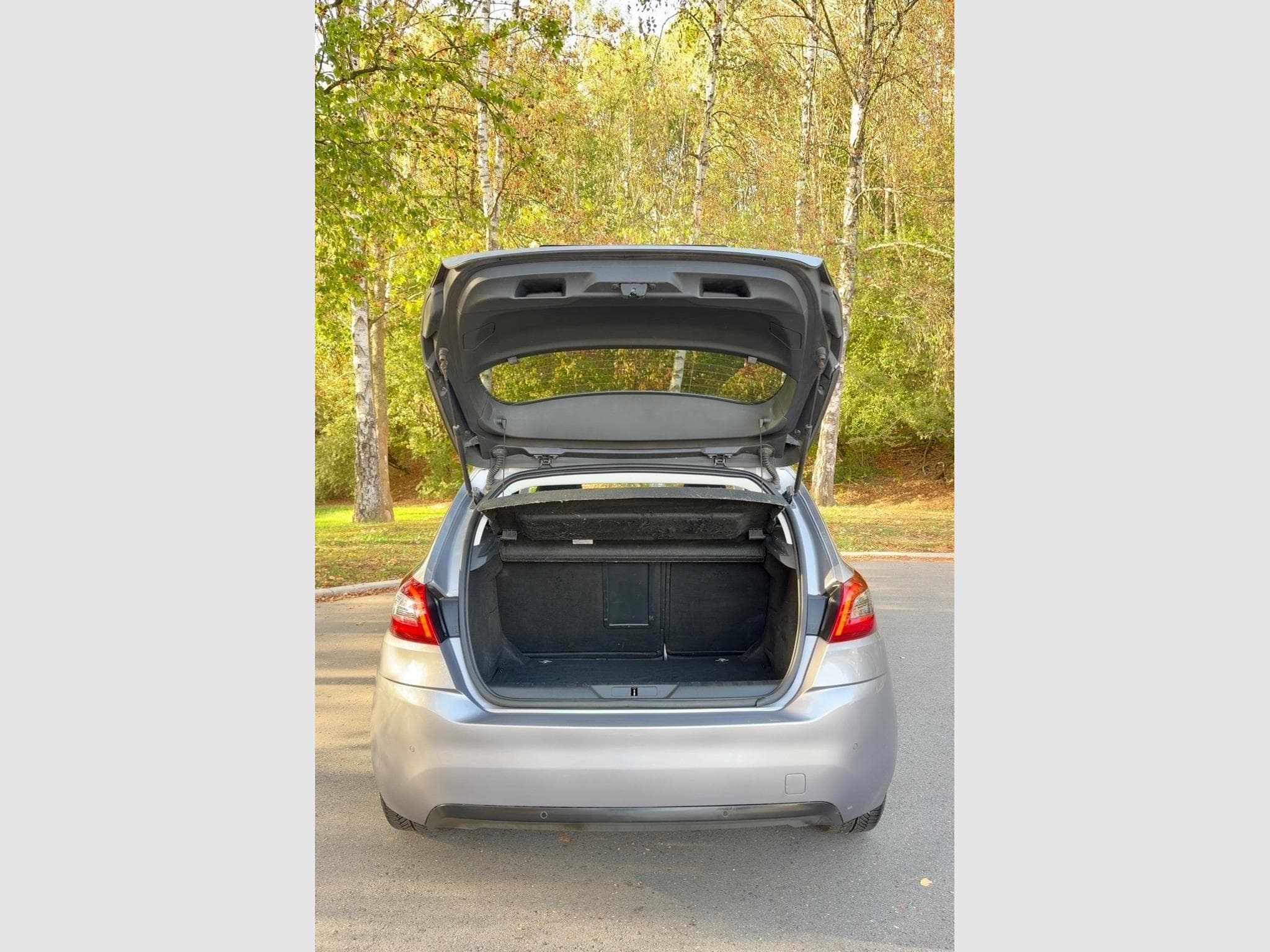 Peugeot 308 1.5 hdi Auto. (2019) - Photo 5