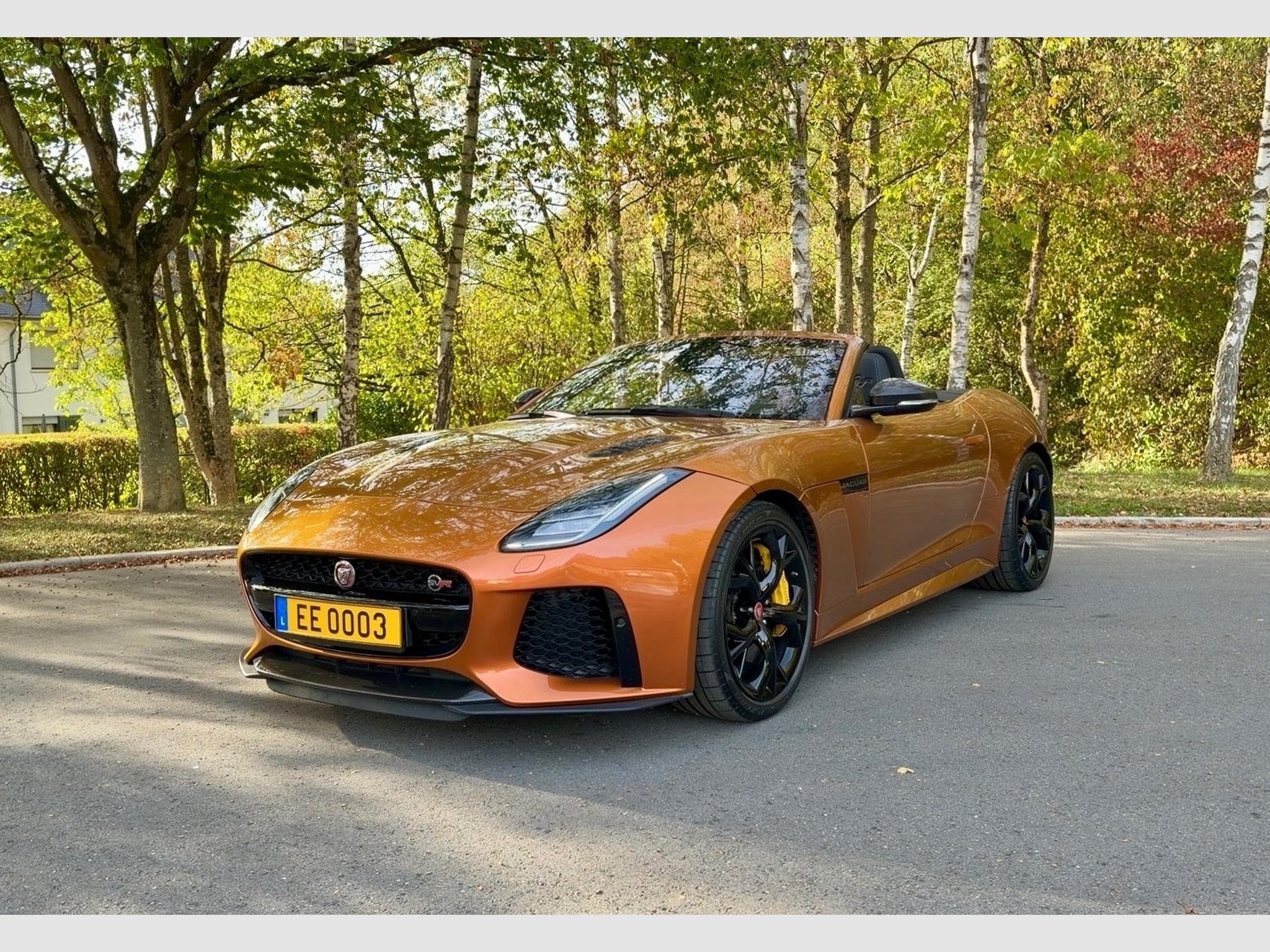 Jaguar F-Type SVR Cabriolet (2019) - Photo 1
