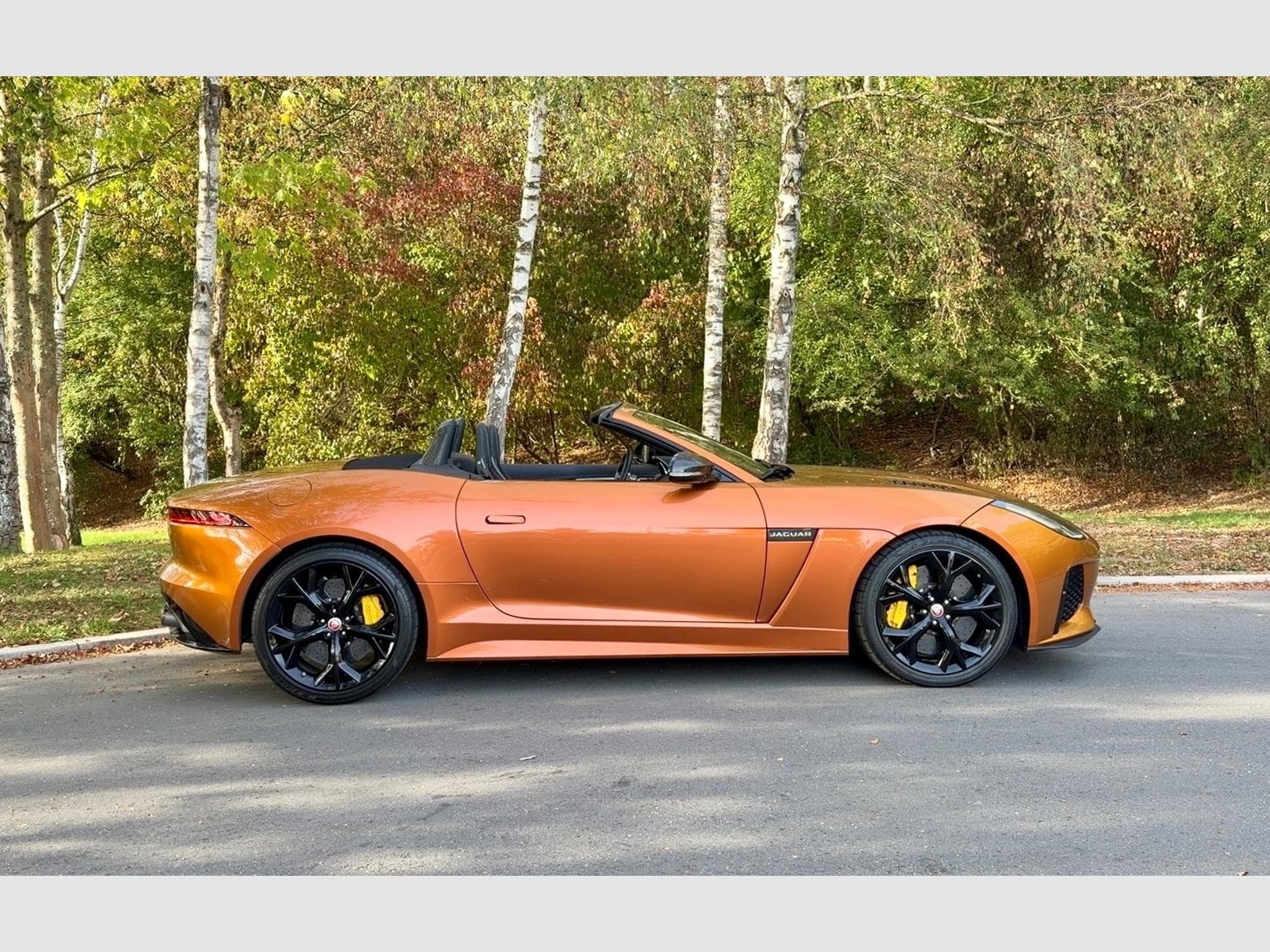 Jaguar F-Type SVR Cabriolet (2019) - Photo 3