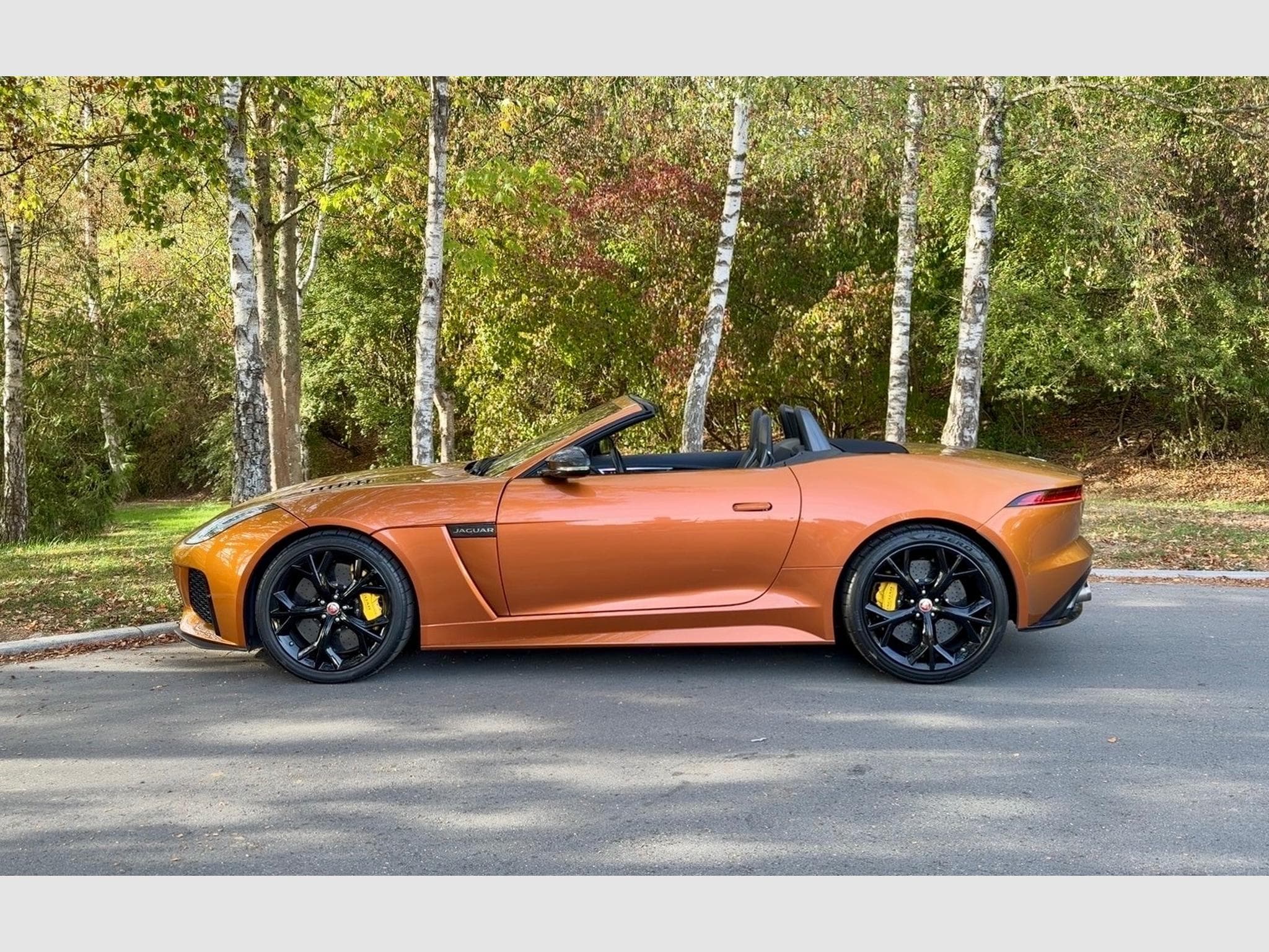 Jaguar F-Type SVR Cabriolet (2019) - Photo 4