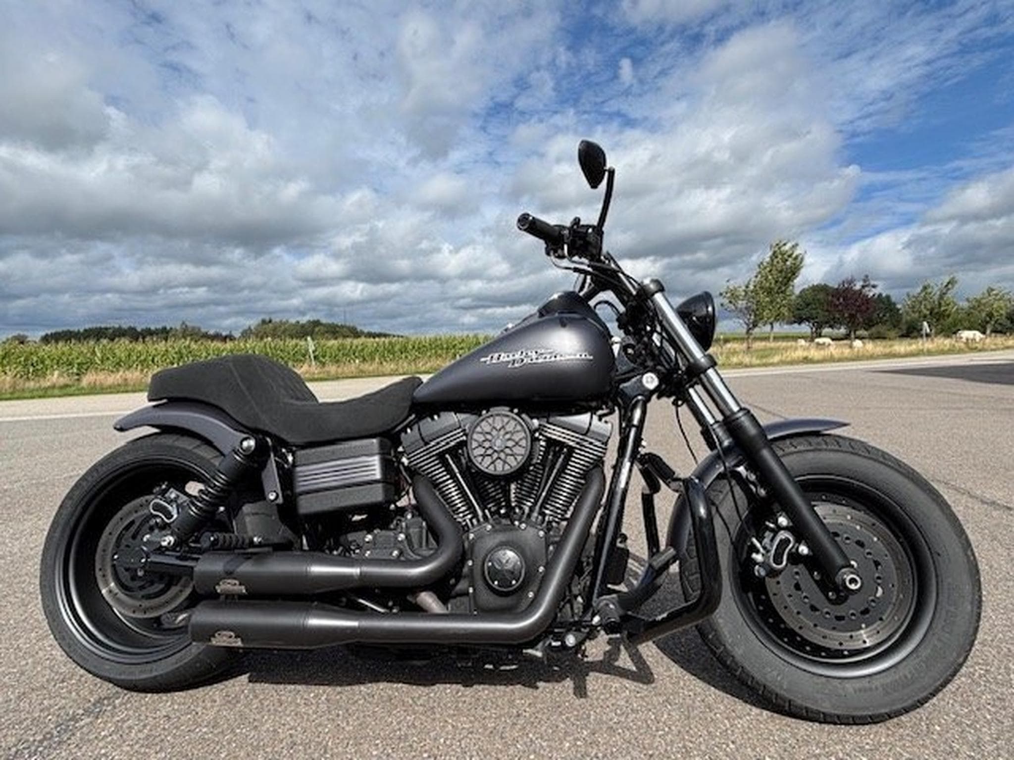 Harley-Davidson Dyna Fat Bob Jekill (2009) - Photo 2