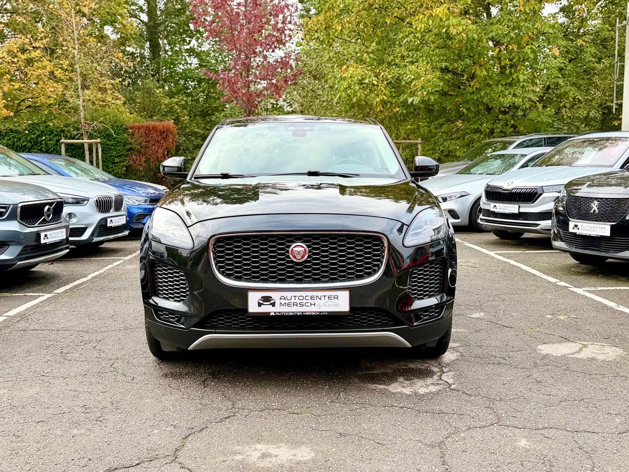 Jaguar E-Pace 2.0D 150 NAVI/CAM/LED (2020) - Photo 2