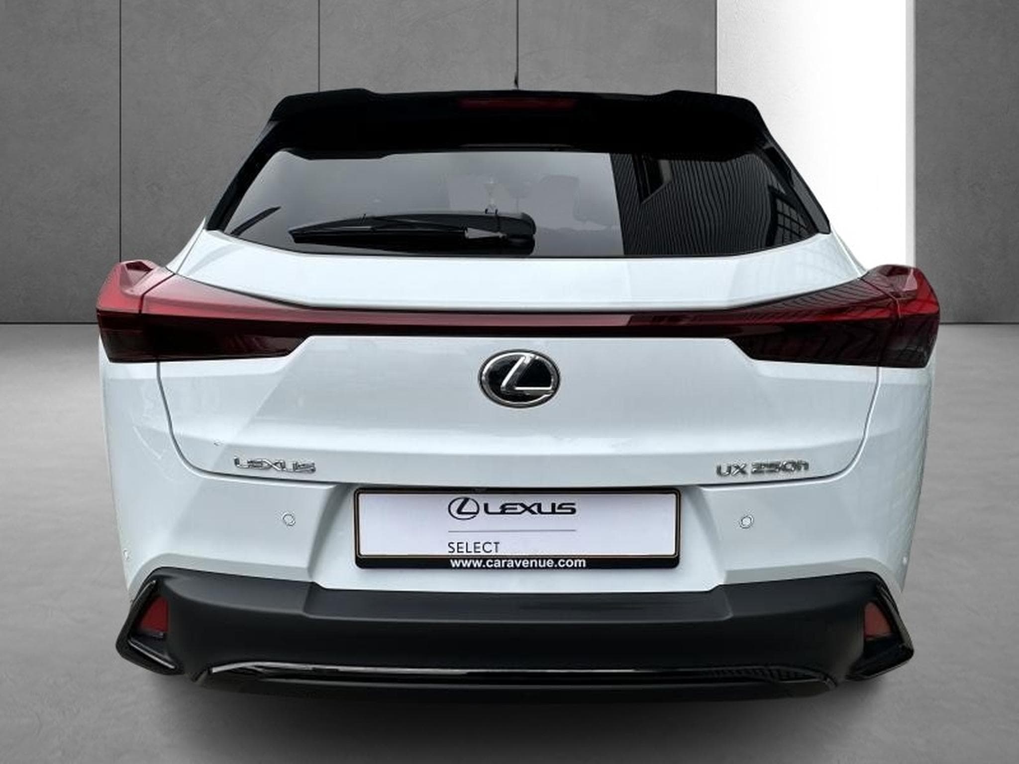 Lexus UX F SPORT Design (2023) - Photo 8