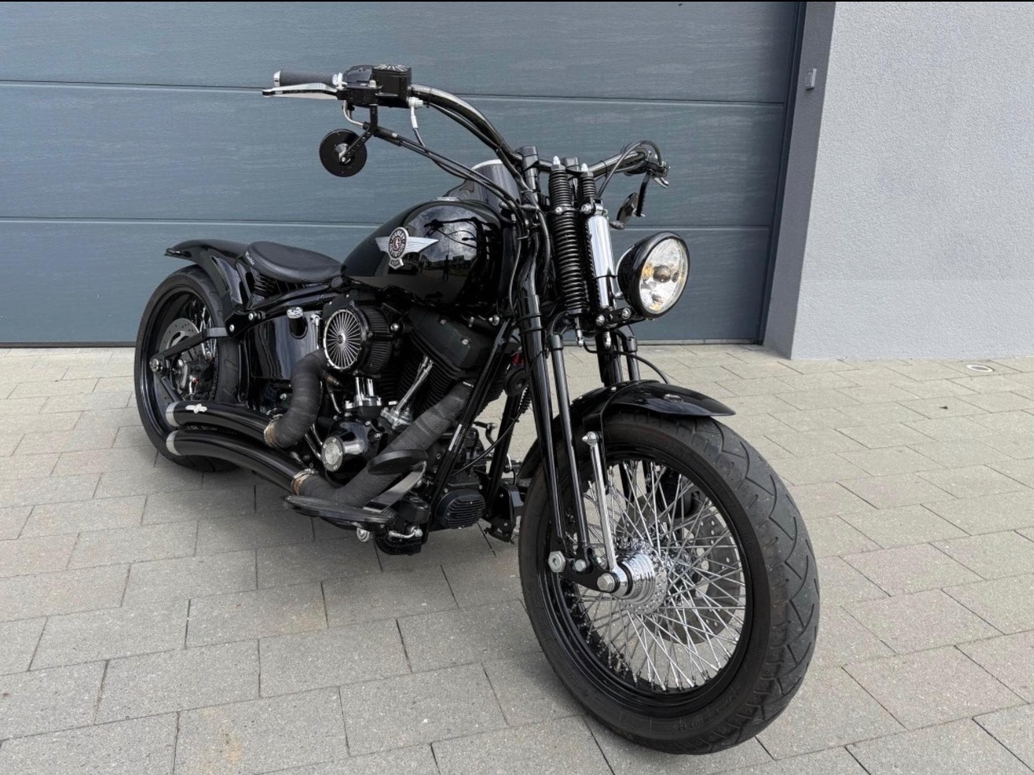 Harley-Davidson Cross Bones (2008) - Photo 3