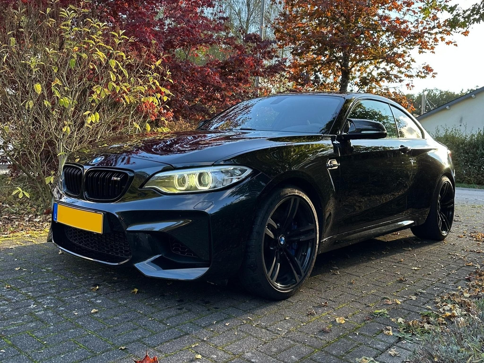 BMW M2 (2017) - Photo 1