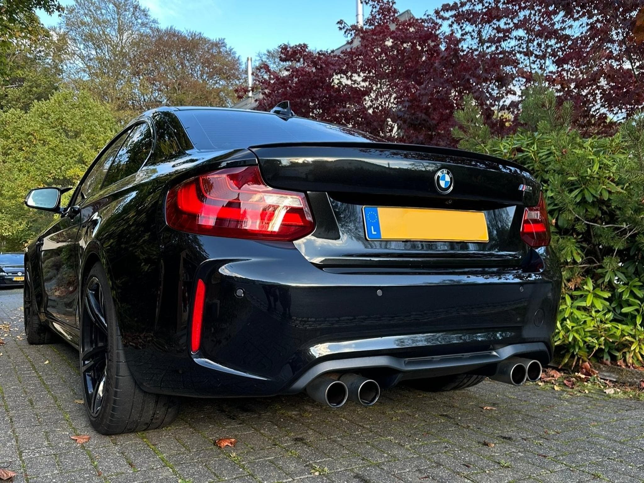 BMW M2 (2017) - Photo 2
