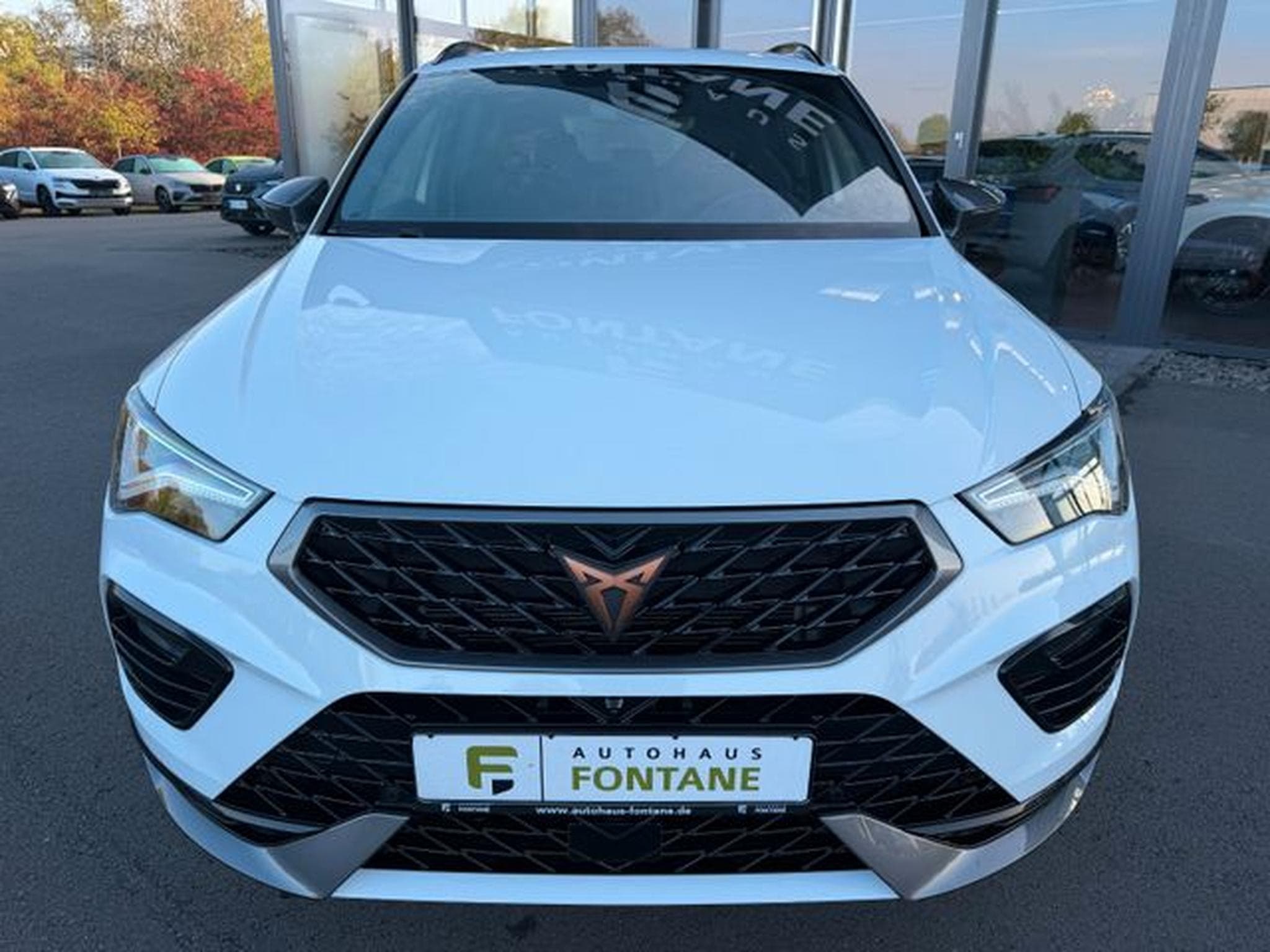 Cupra Ateca Ateca 2,0TSi 4Drive AHK Beats 19"Pano Memory (2022) - Foto 3