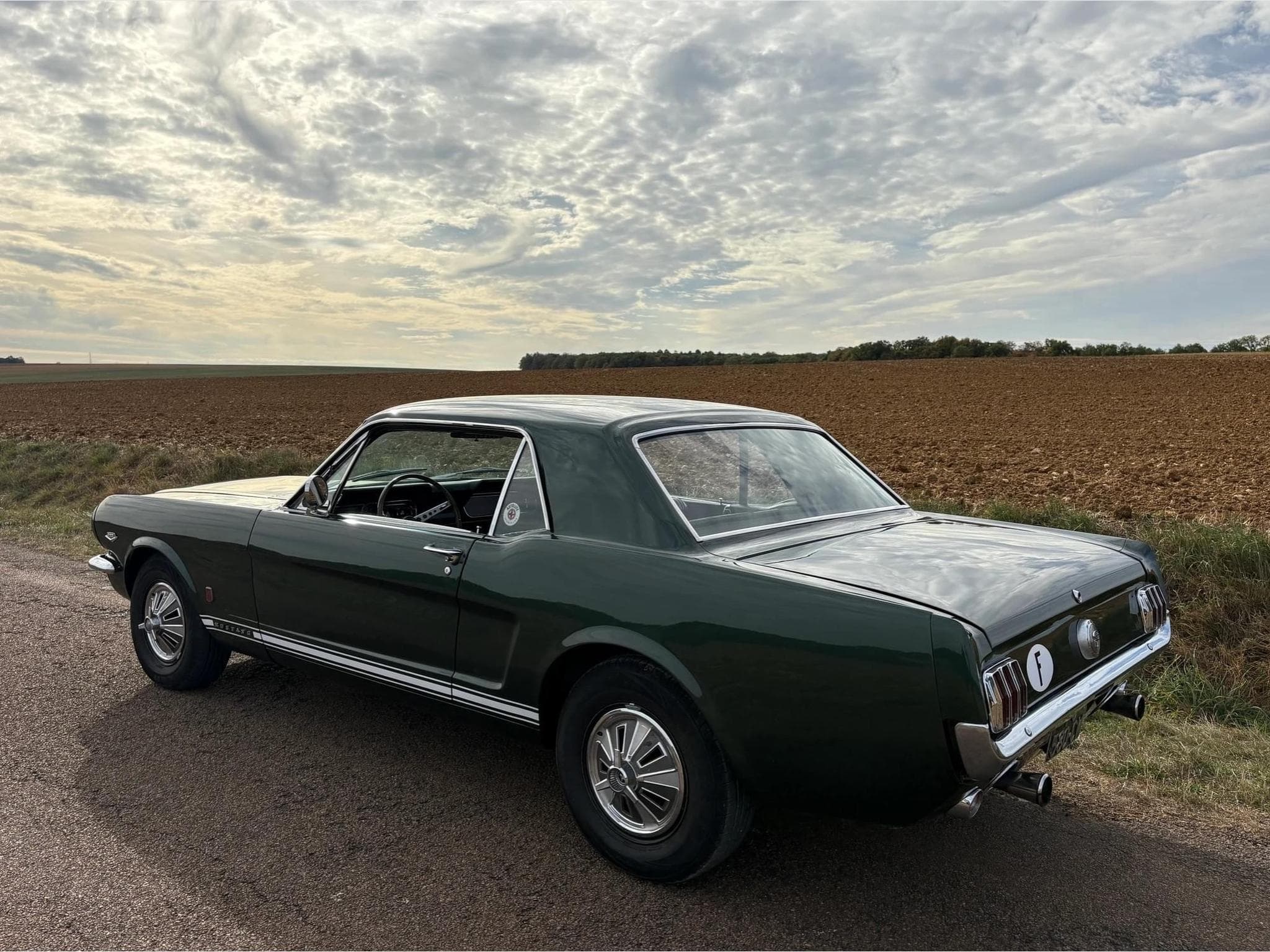Ford Mustang GT code K export 1966 (1966) - Foto 2
