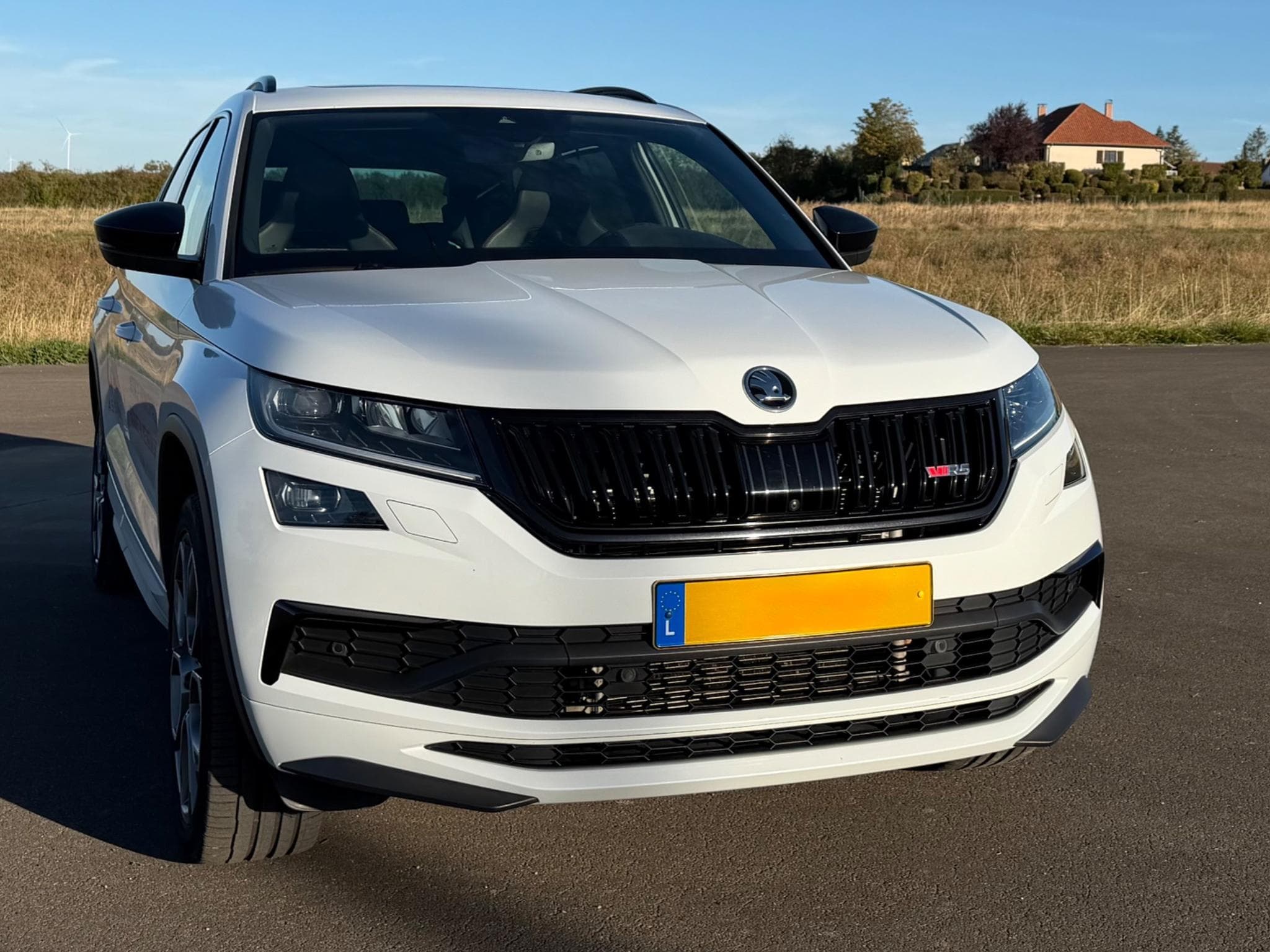 Skoda Kodiaq RS (2020) - Photo 5
