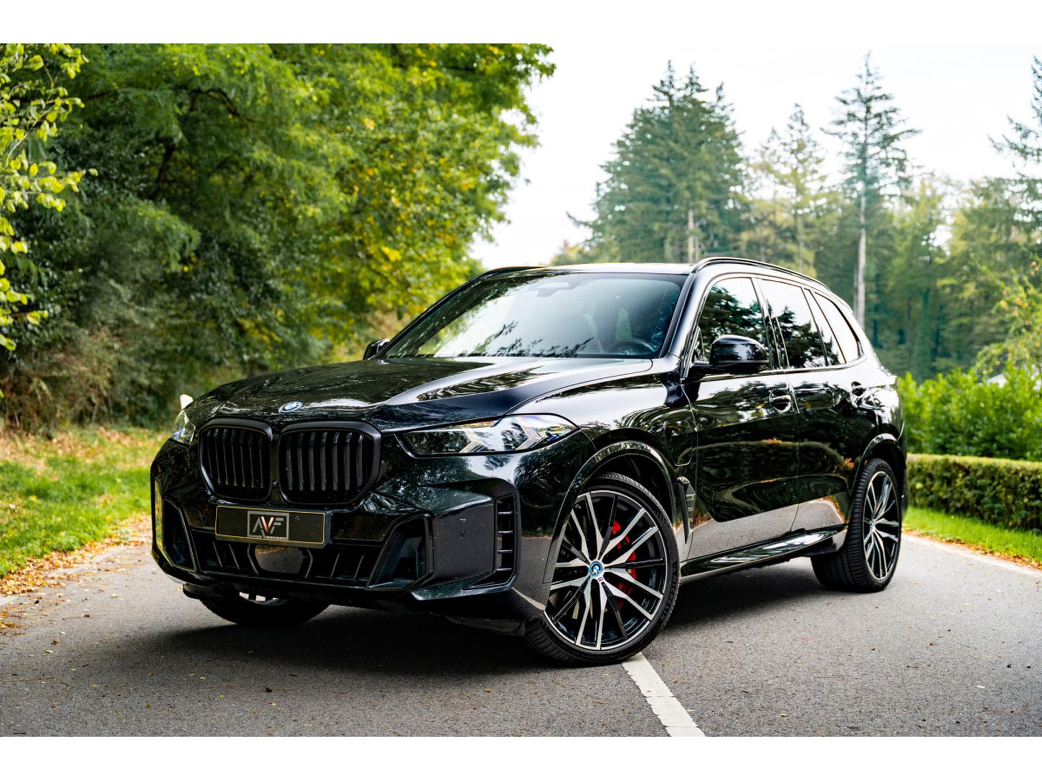 BMW X5 M50e - Carbon - H&K - Panoramic Roof (2023) - Photo 1