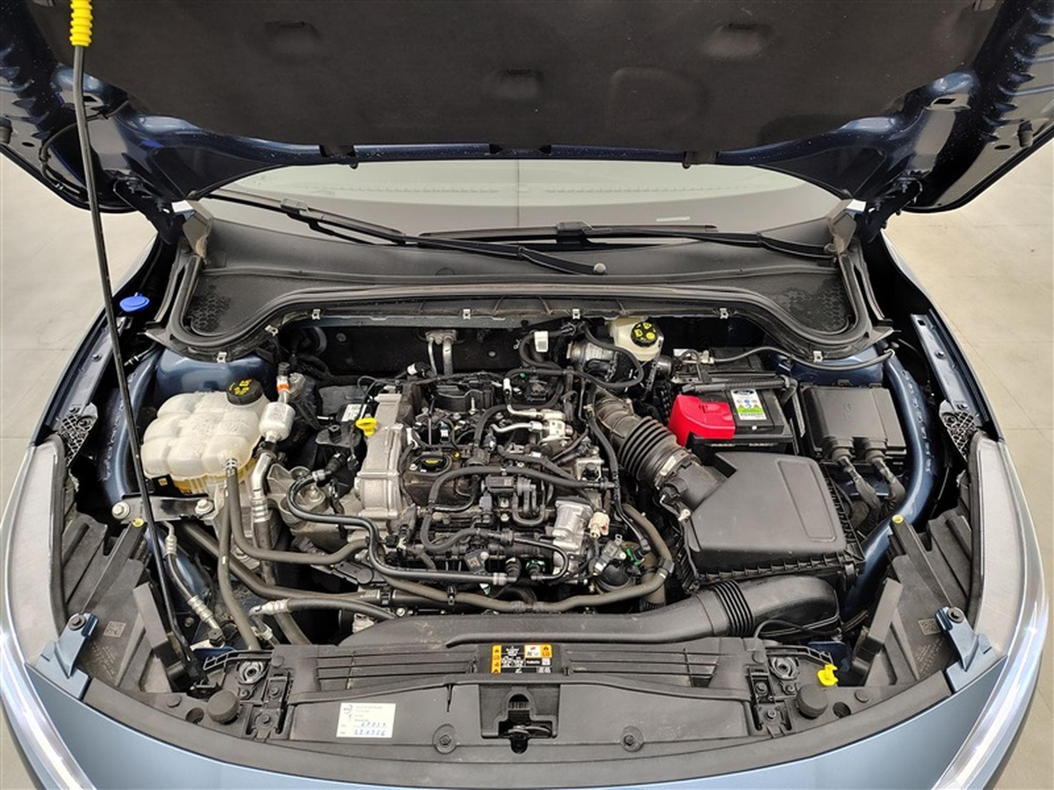 Ford Focus 1.0 EcoBoost mHEV 155Cv AT Titanium Navi / Led / PDC av+ar (2024) - Photo 19