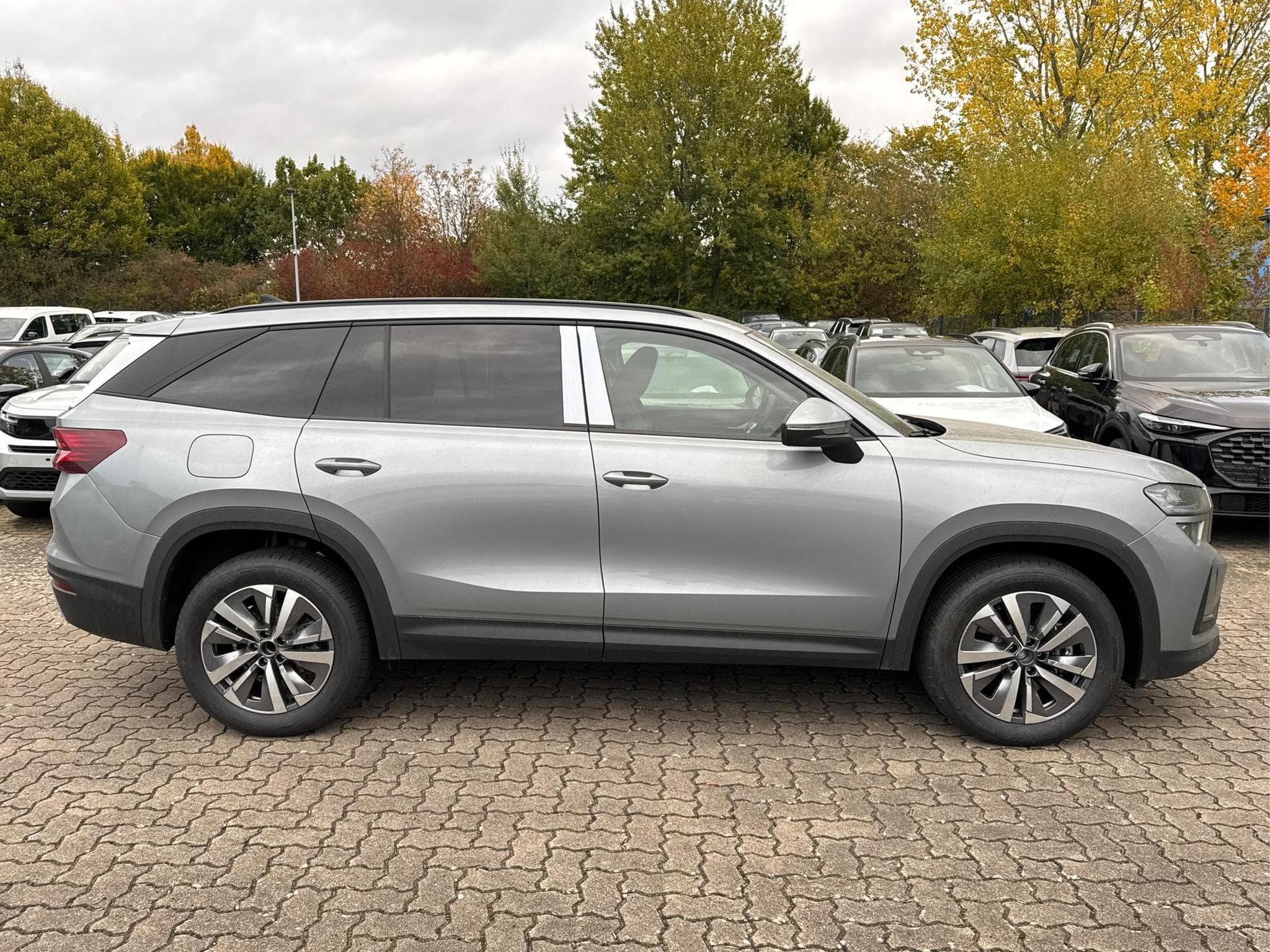 Skoda Kodiaq Selection (2026) - Photo 6