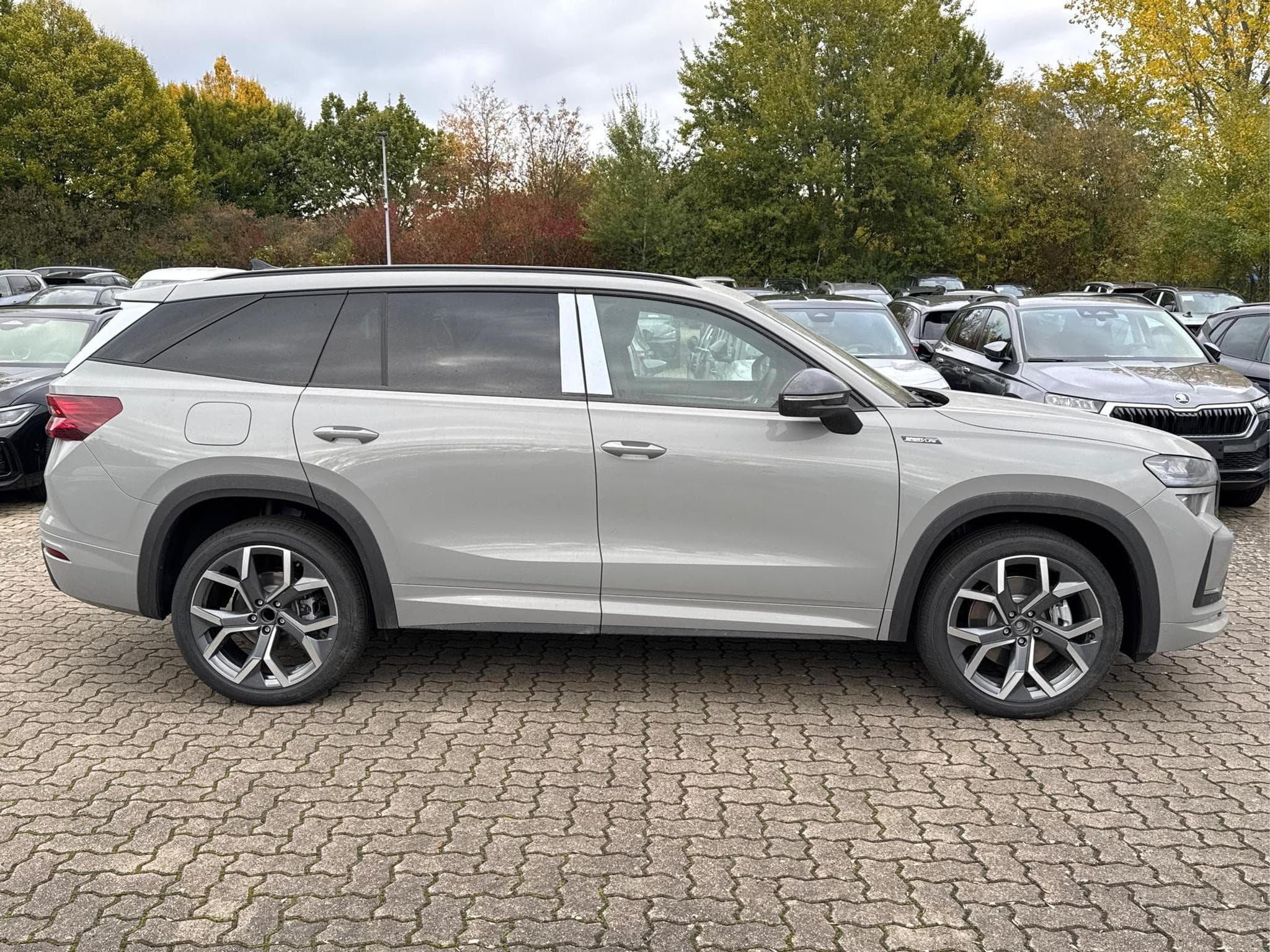 Skoda Kodiaq Sportline (2026) - Photo 6