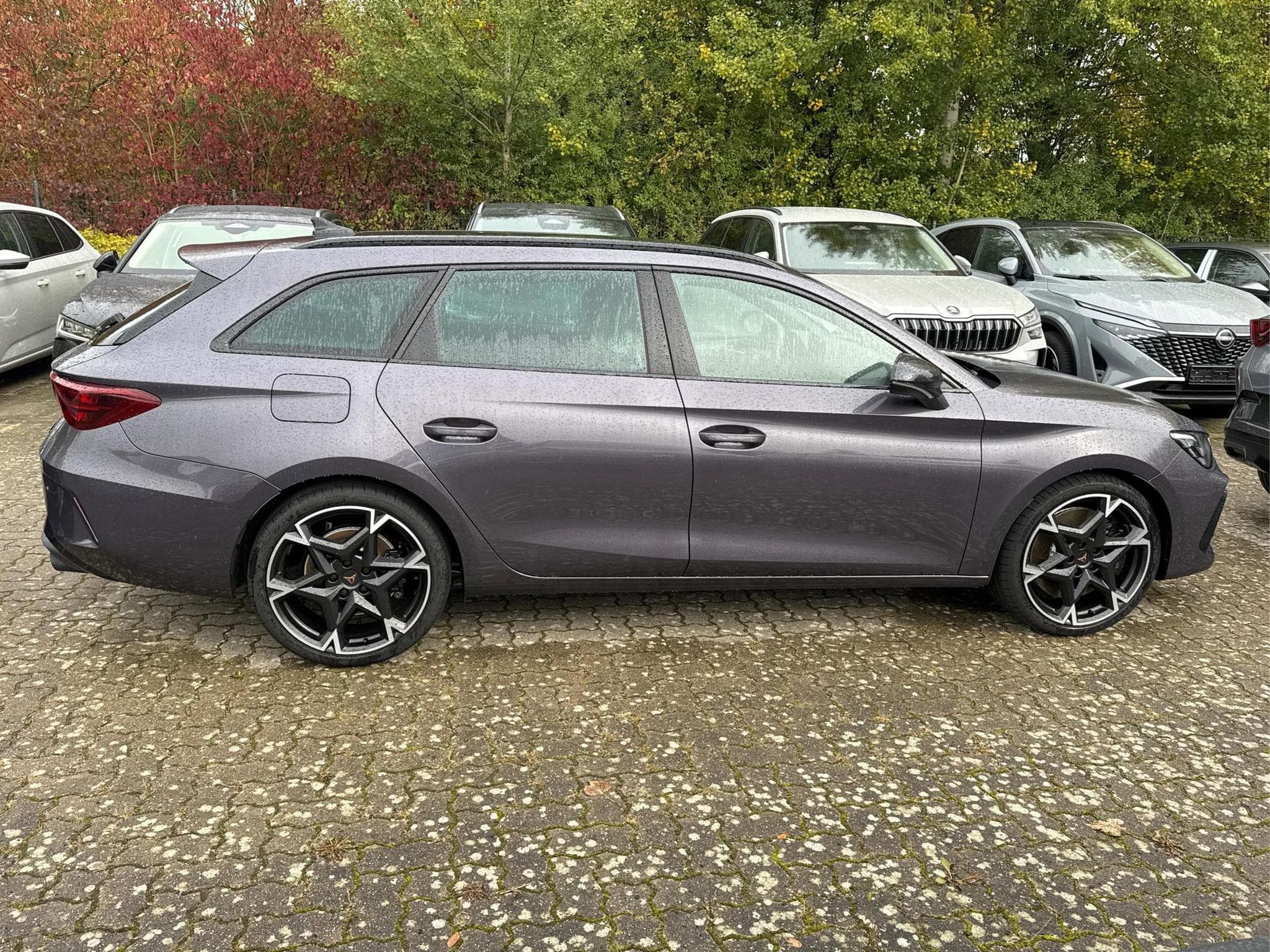 Cupra Leon VZ (2026) - Photo 5