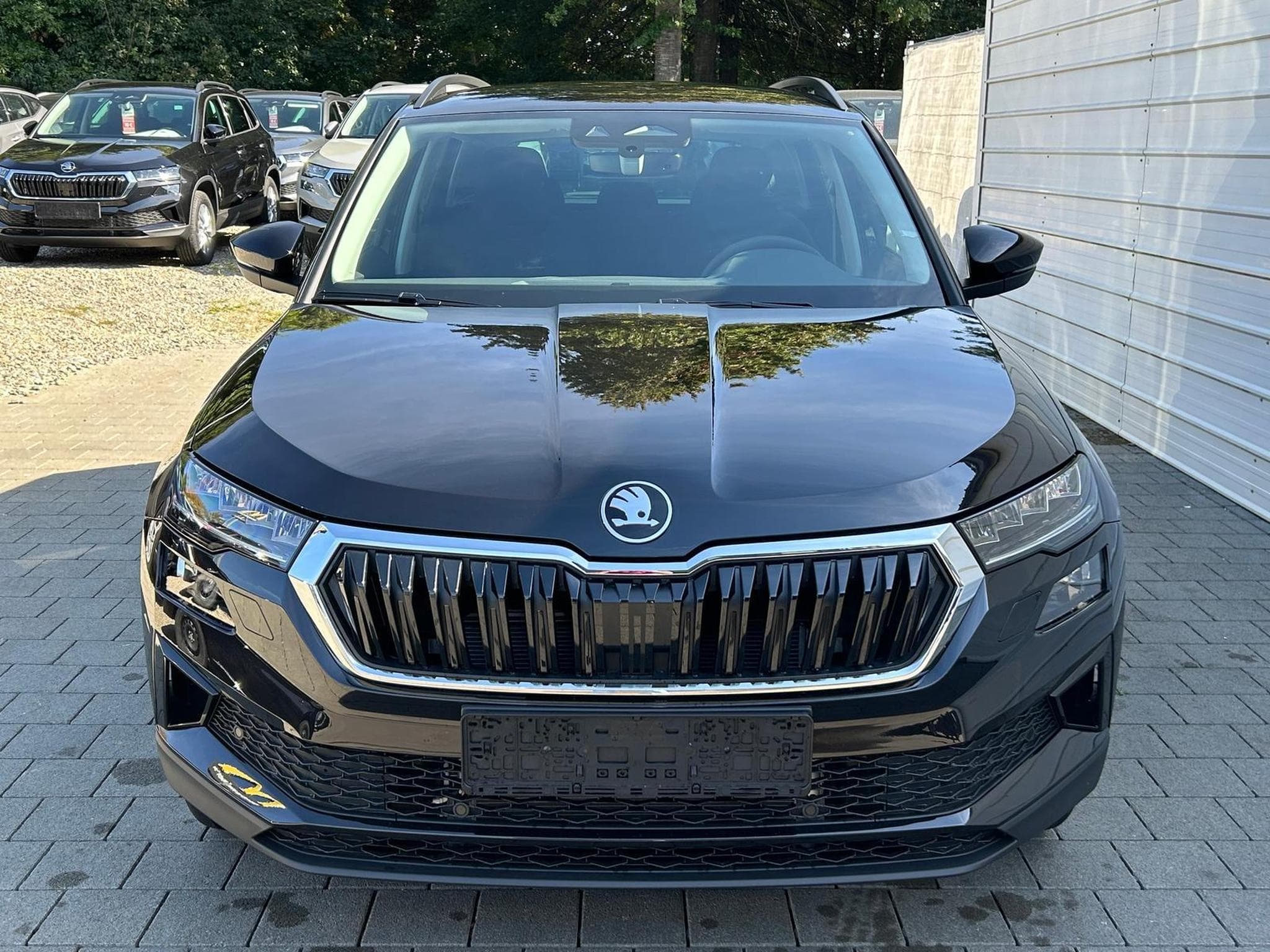 Skoda Karoq Selection (2026) - Photo 2