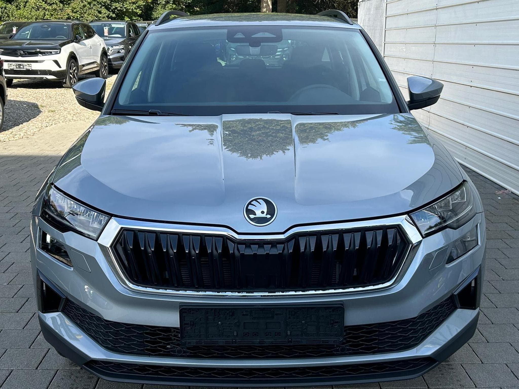 Skoda Karoq Selection (2026) - Photo 2
