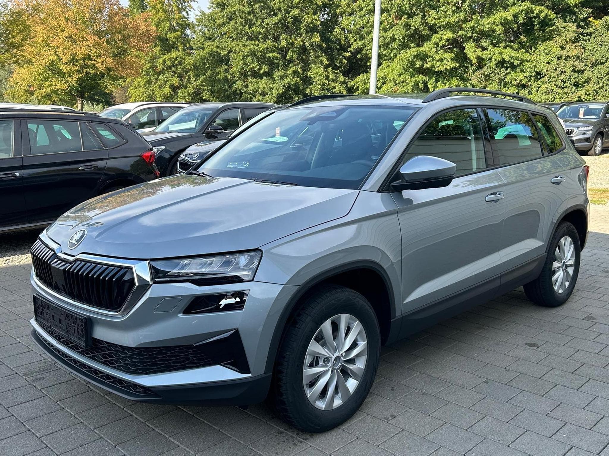 Skoda Karoq Selection (2026) - Photo 3