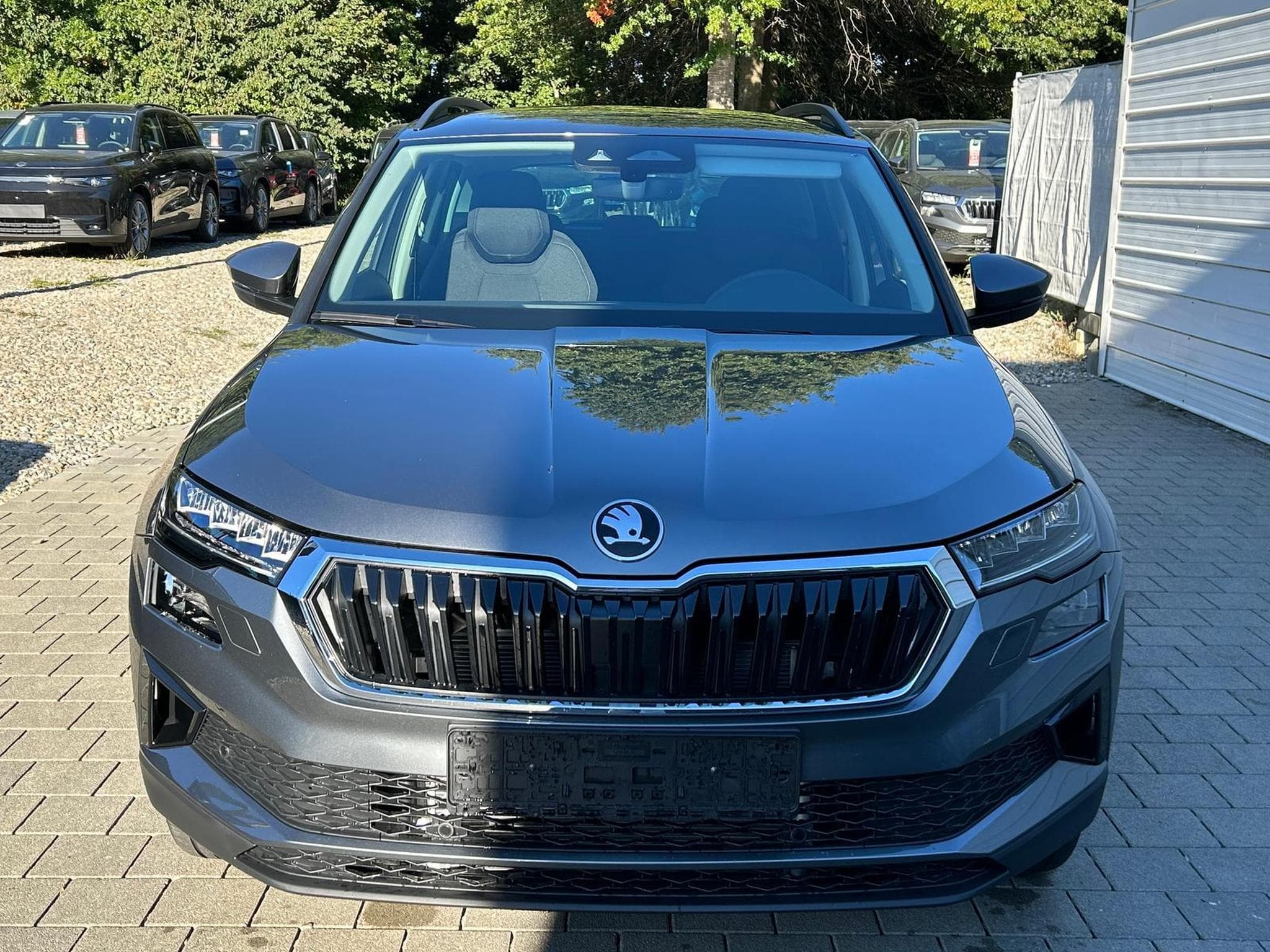 Skoda Karoq Selection (2026) - Photo 2