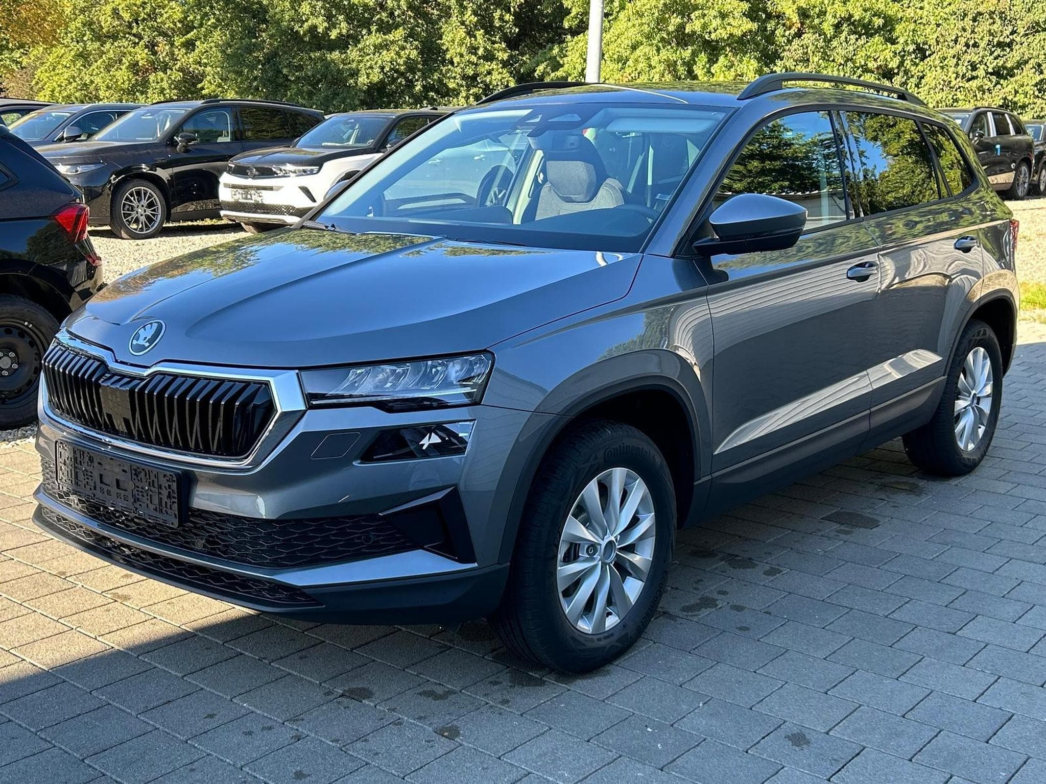 Skoda Karoq Selection (2026) - Photo 3
