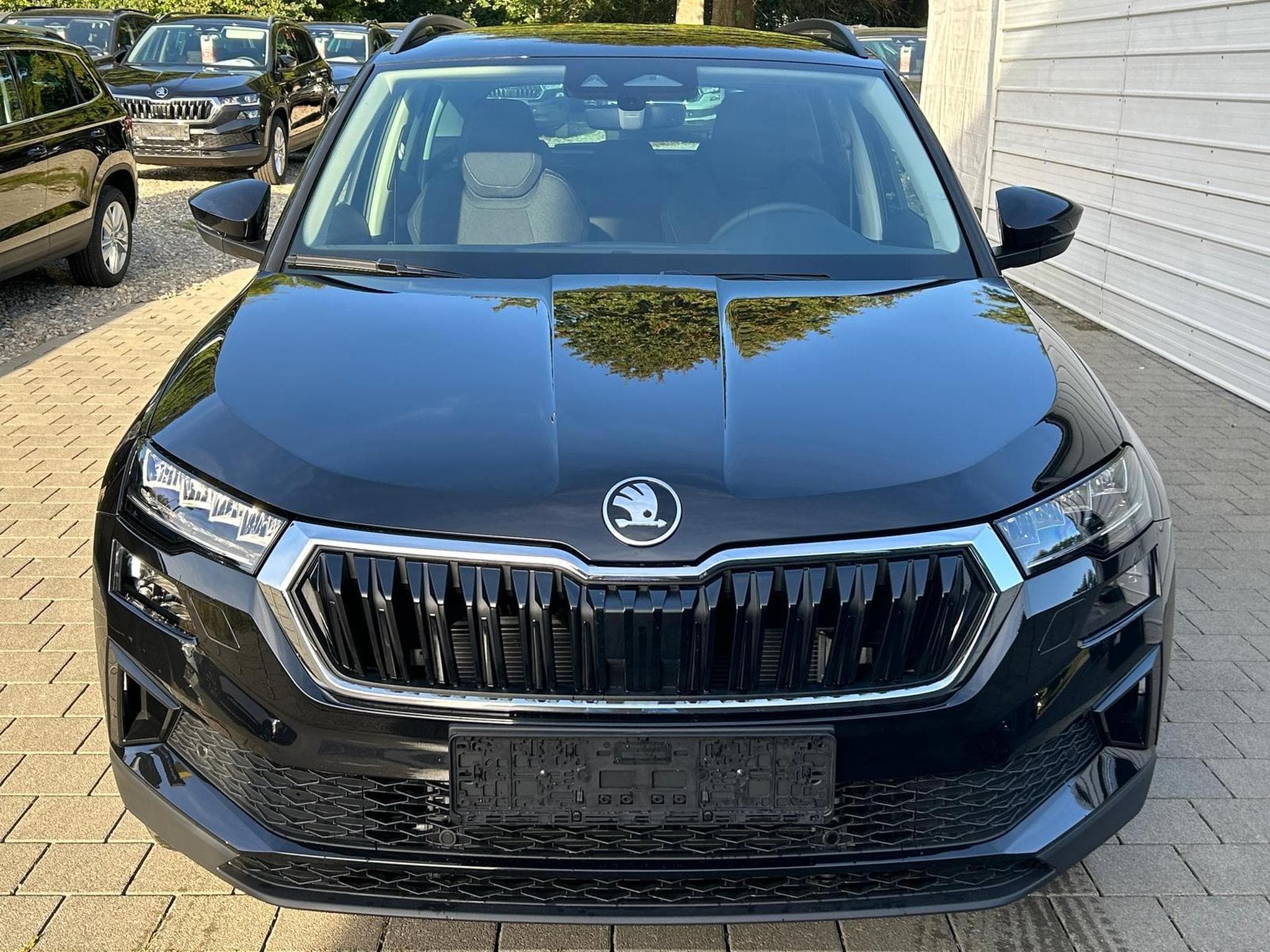 Skoda Karoq Selection (2026) - Photo 2