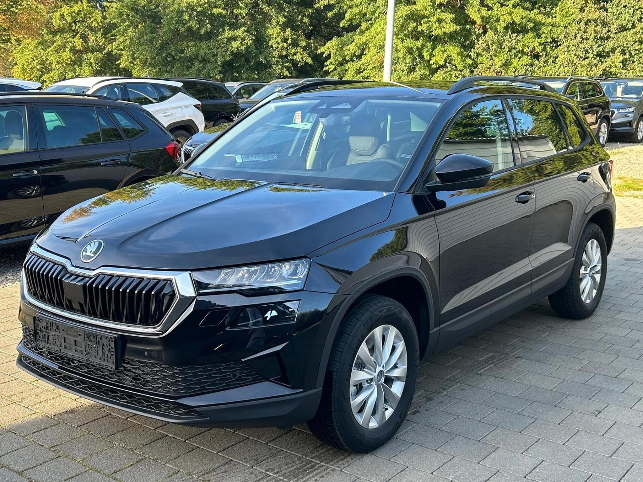 Skoda Karoq Selection (2026) - Photo 3
