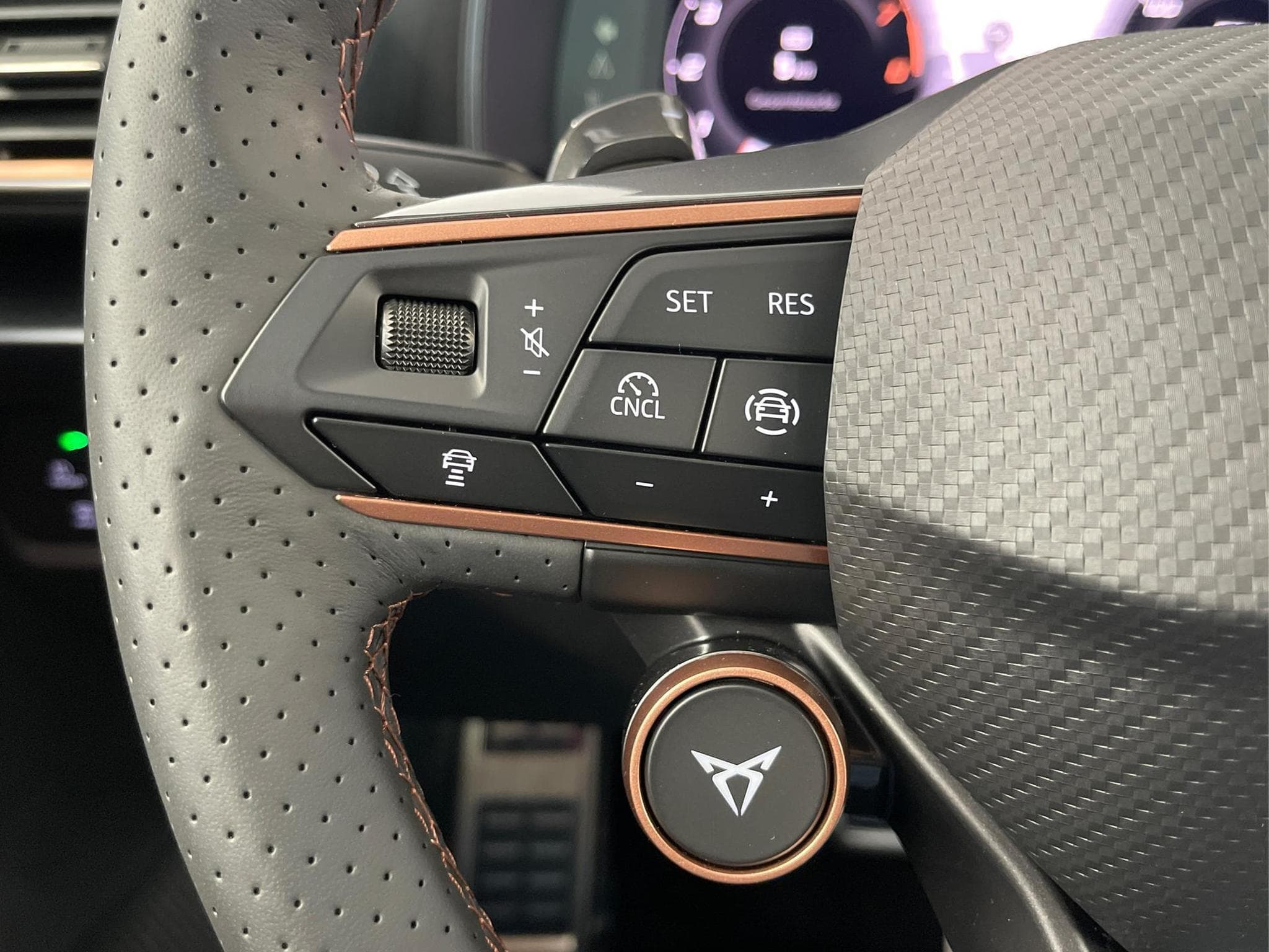 Cupra Formentor VZ (2026) - Photo 18