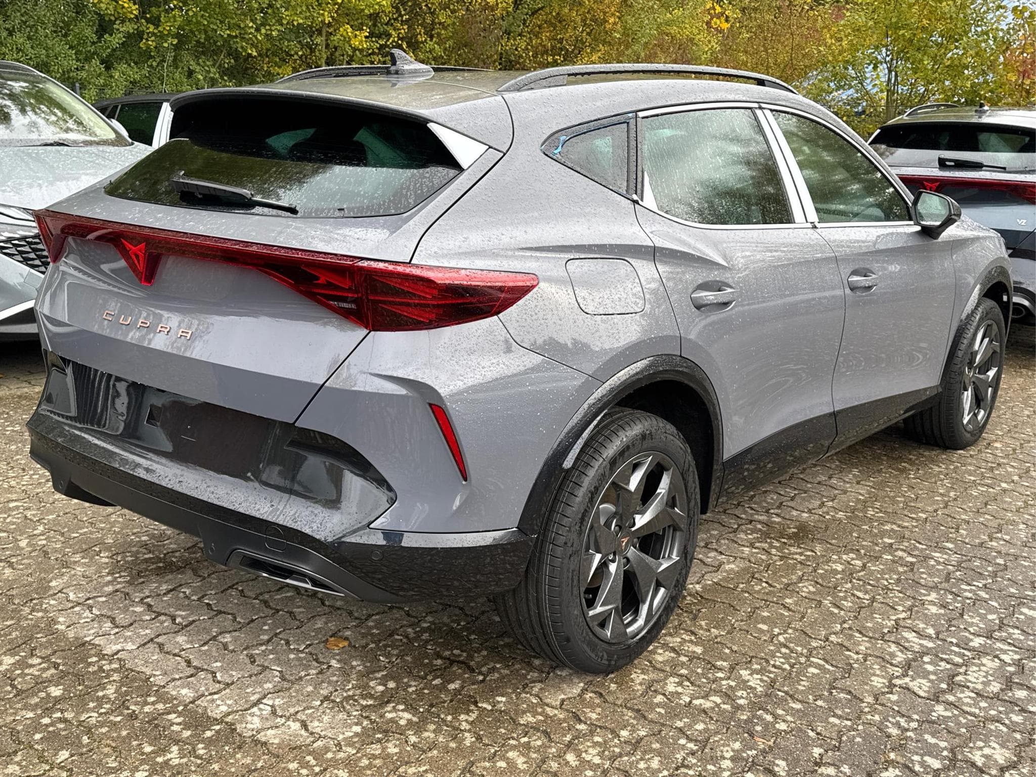 Cupra Formentor Formentor (2026) - Foto 4