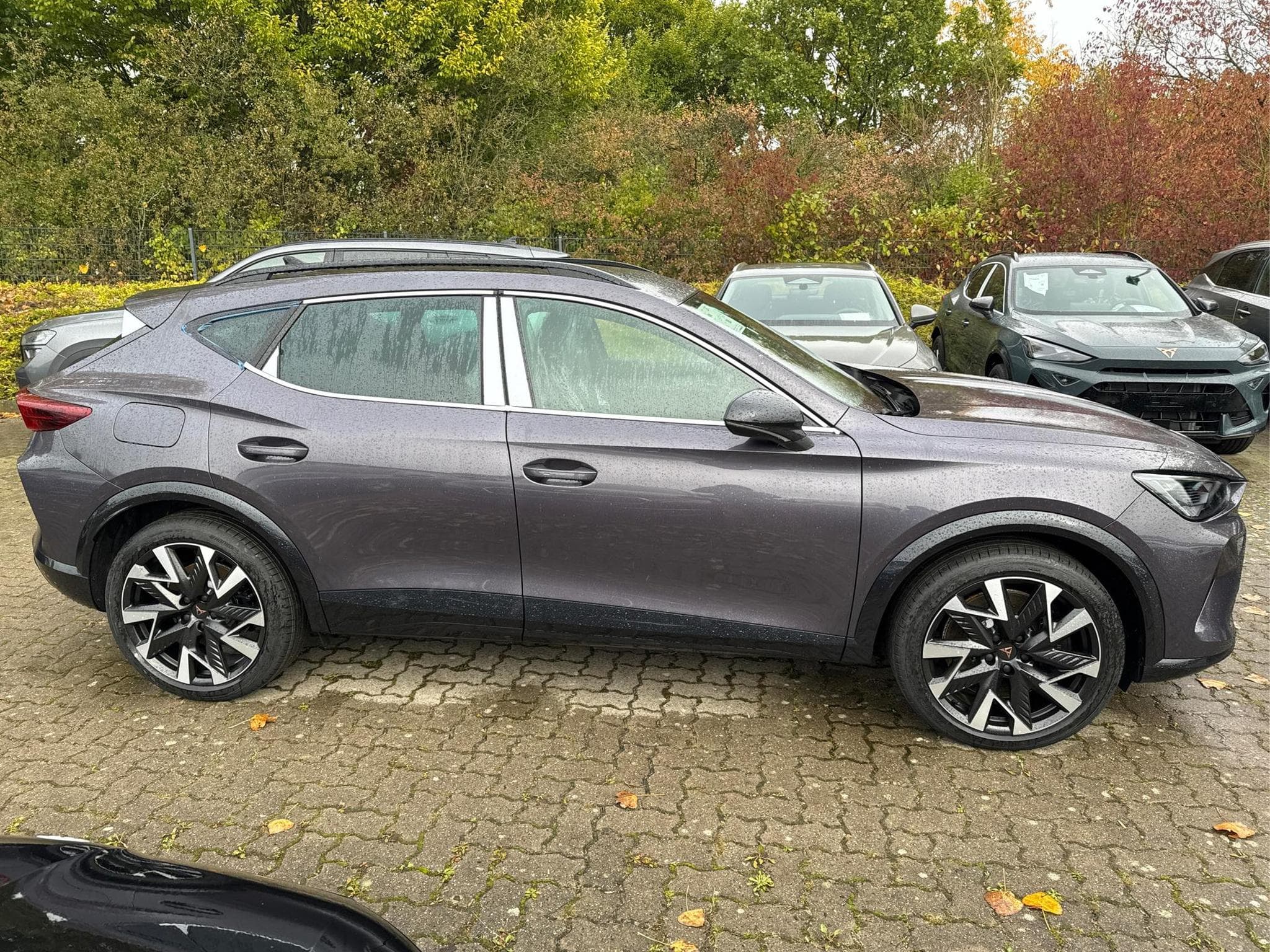 Cupra Formentor VZ (2026) - Foto 5