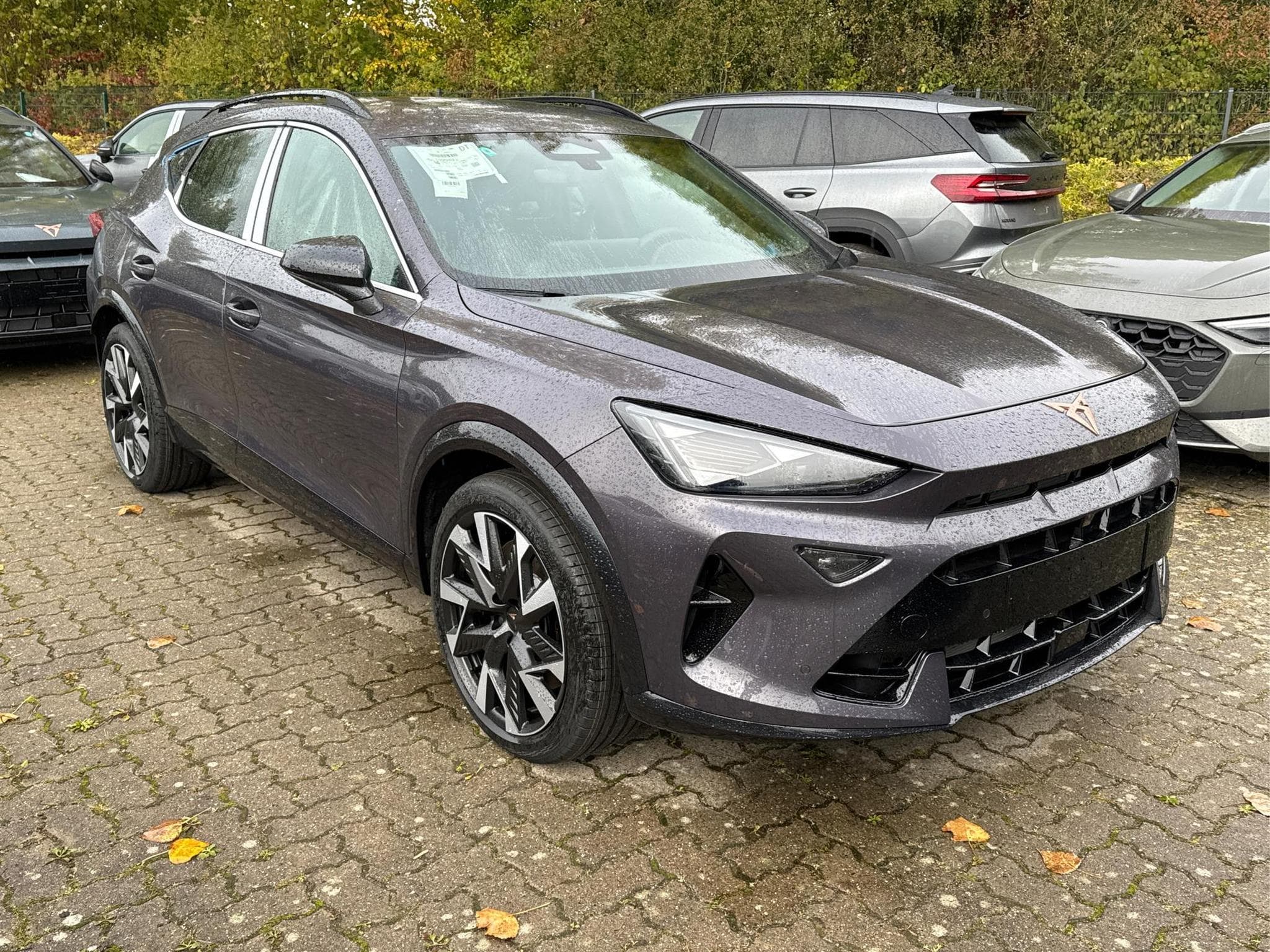 Cupra Formentor VZ (2026) - Foto 6
