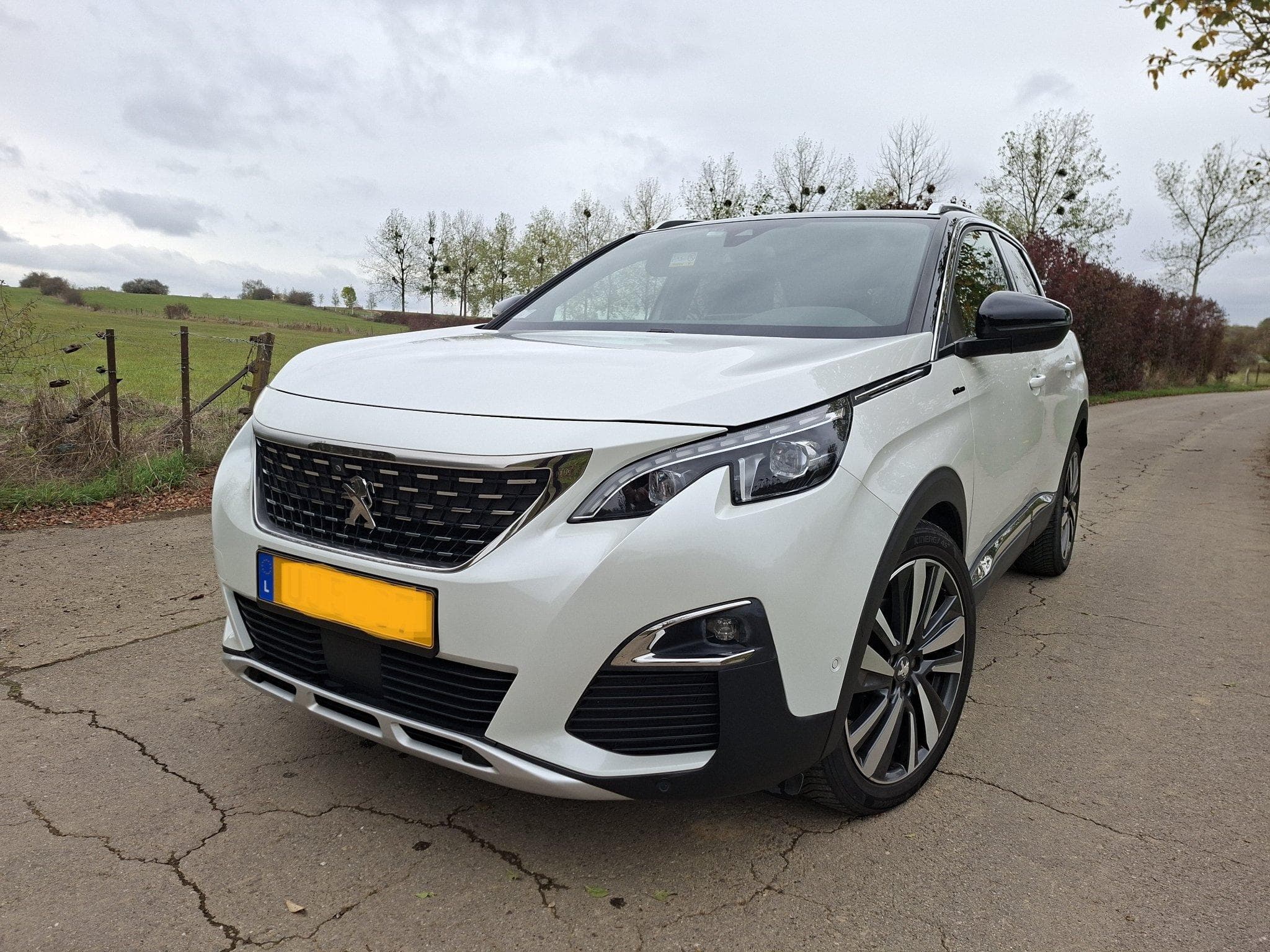 Peugeot 3008 GT Line (2019) - Photo 1