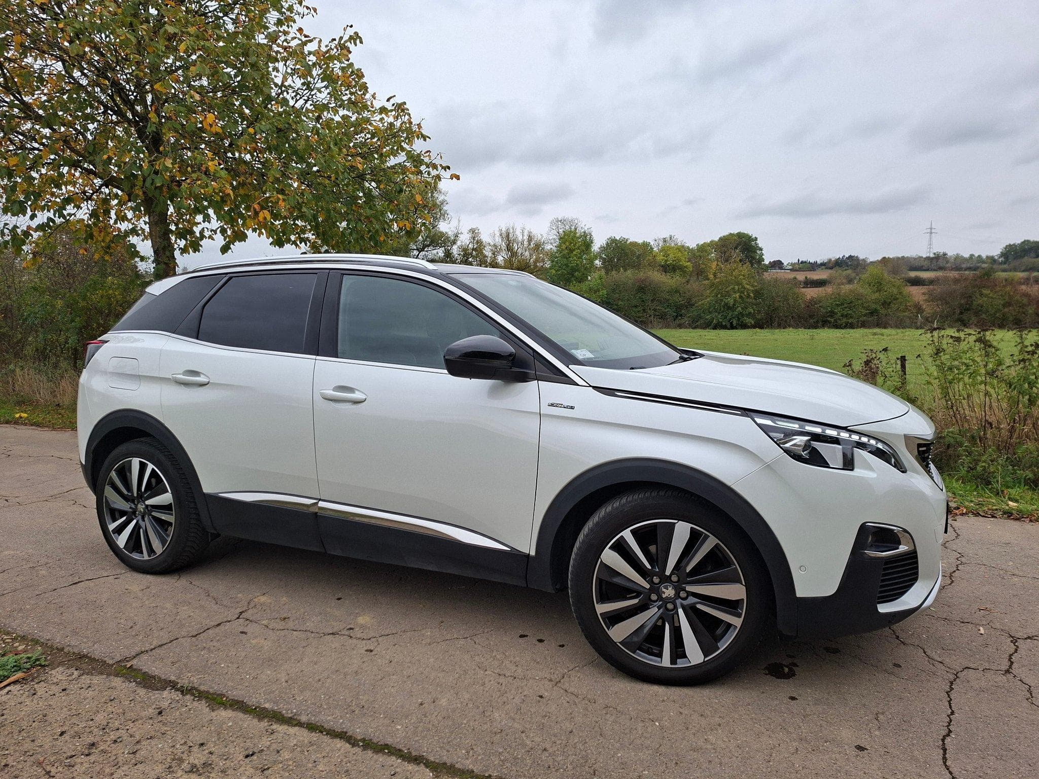Peugeot 3008 GT Line (2019) - Photo 2