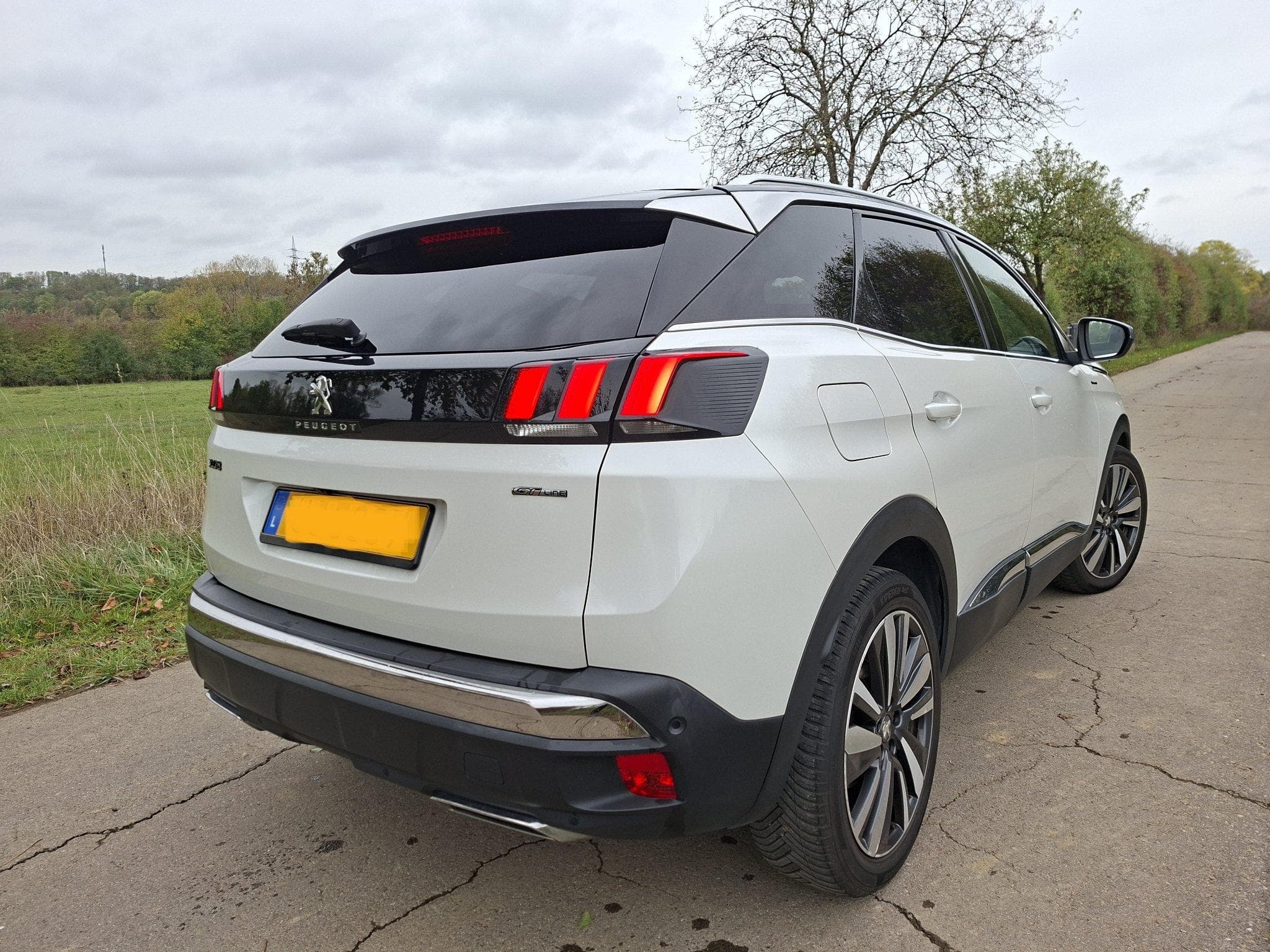 Peugeot 3008 GT Line (2019) - Photo 3