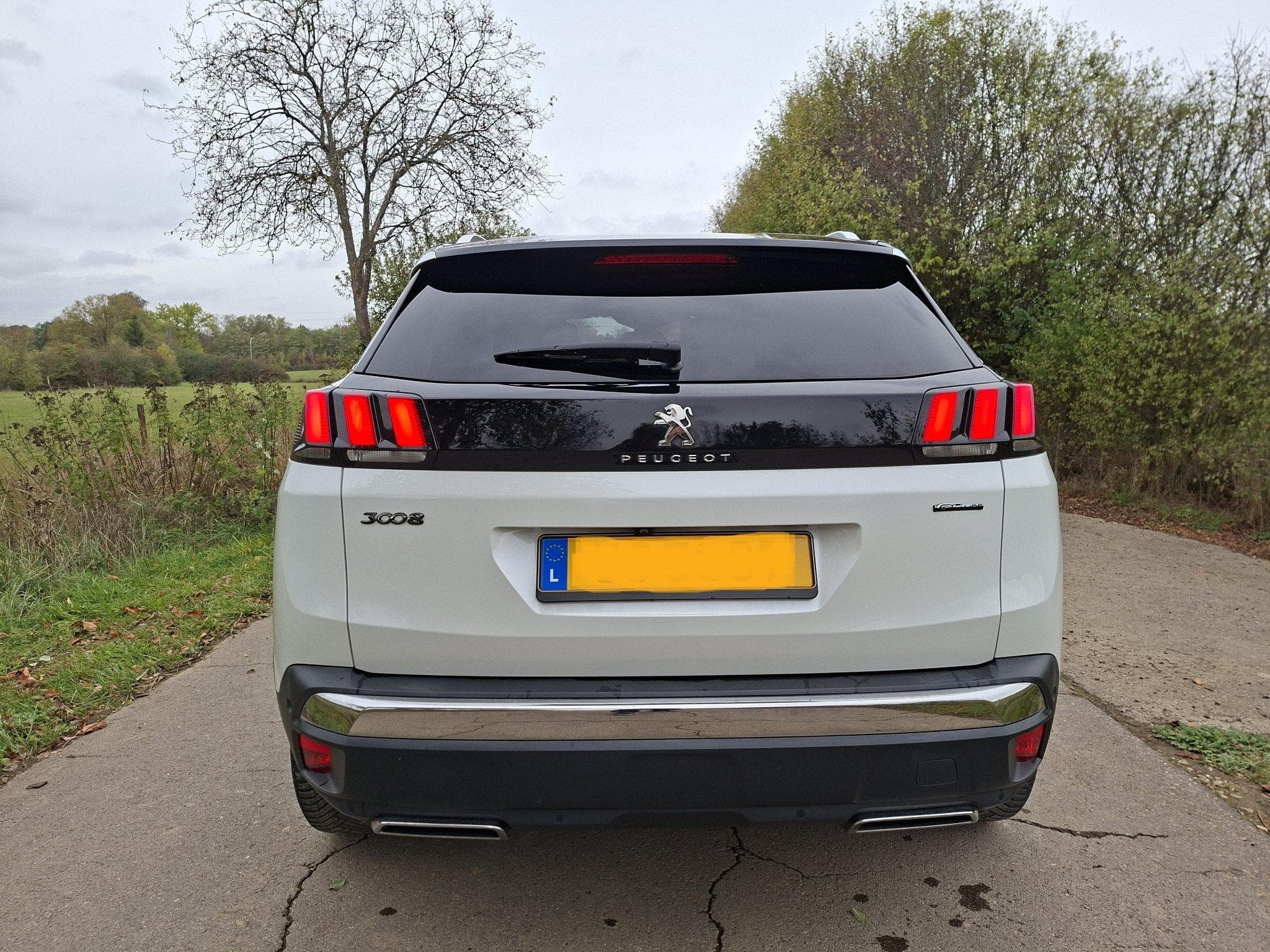 Peugeot 3008 GT Line (2019) - Photo 4