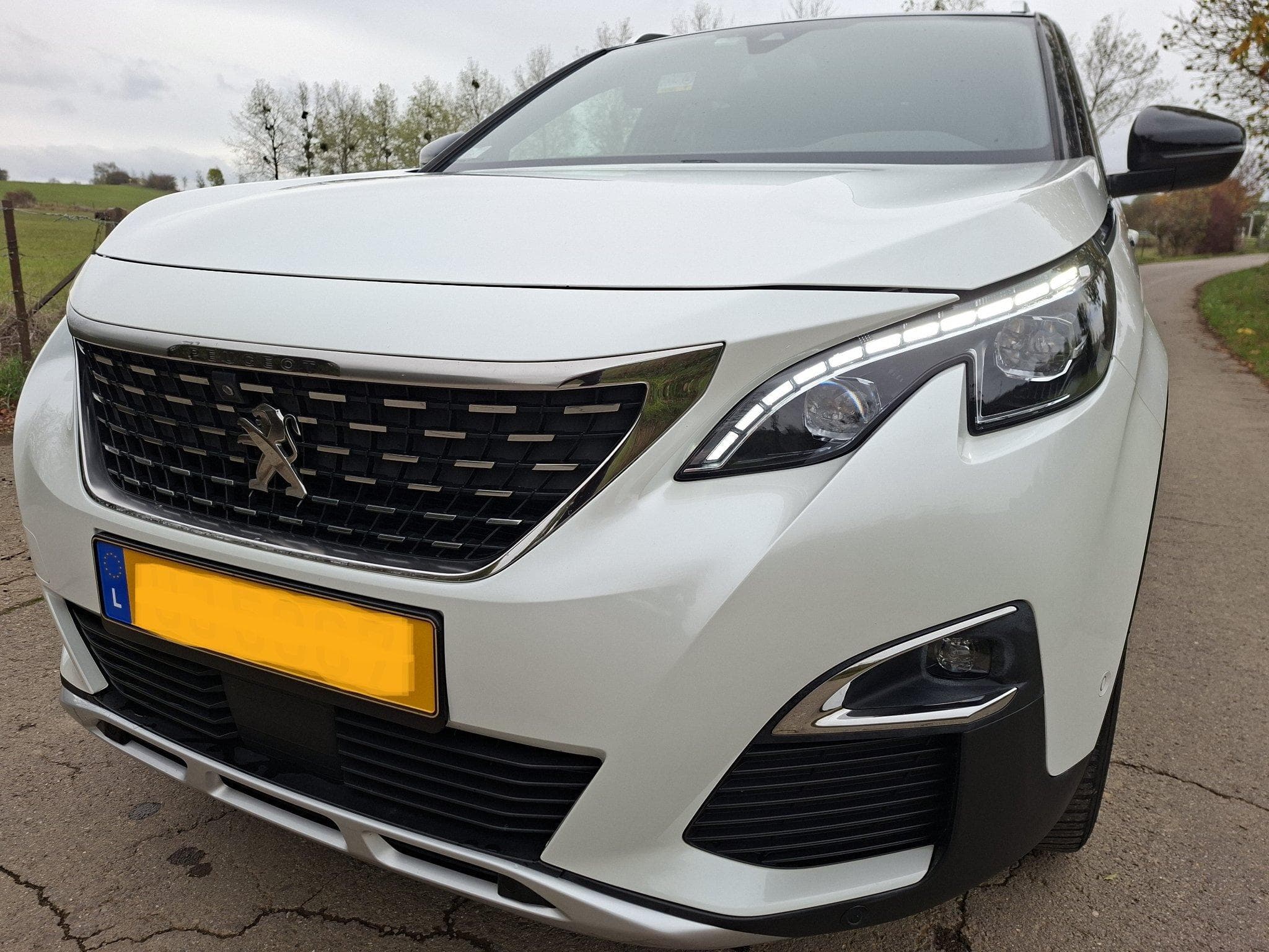 Peugeot 3008 GT Line (2019) - Photo 5